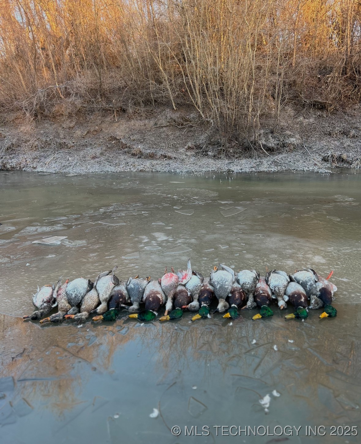 000 N 4540 Property Photo 46