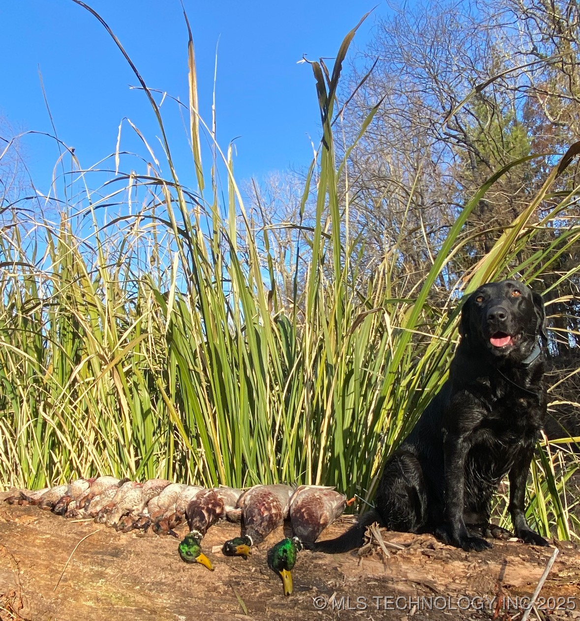 000 N 4540 Property Photo 47