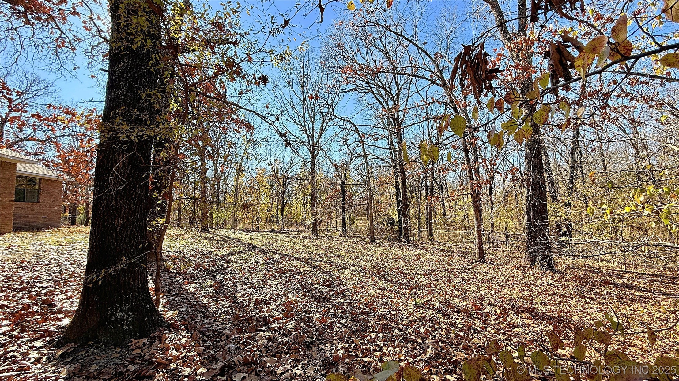 2315 N Grand Avenue Property Photo 44