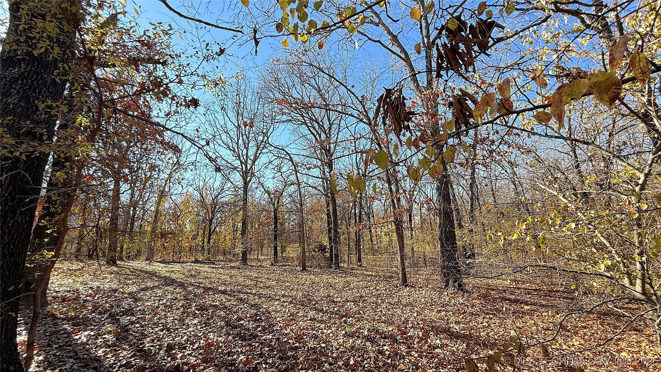 2315 N Grand Avenue Property Photo 45