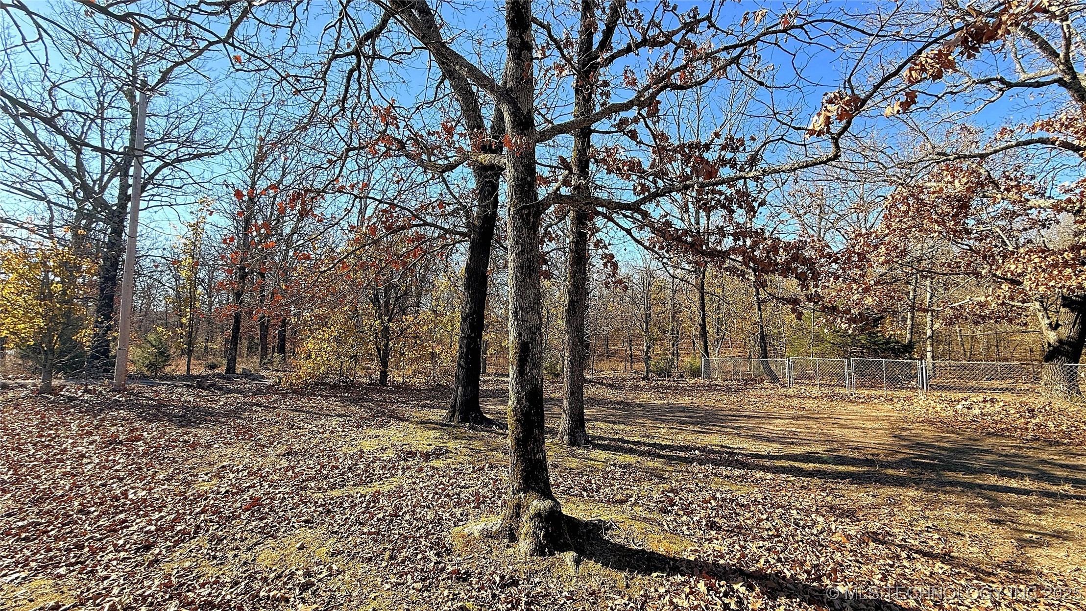 2315 N Grand Avenue Property Photo 48