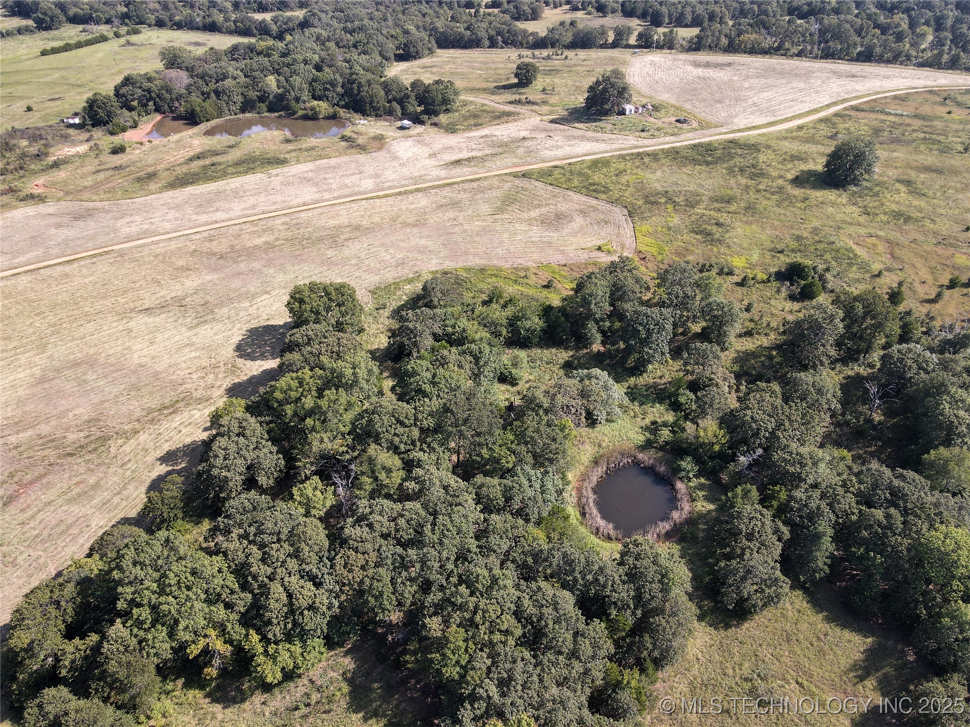 38987 Leo Road Property Photo 19