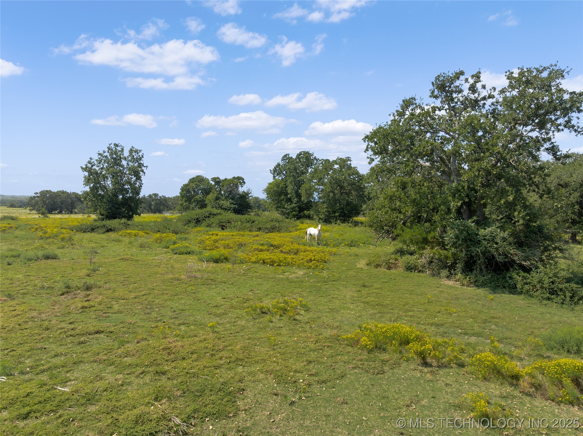 8753 Prairie Valley Road Property Photo 55