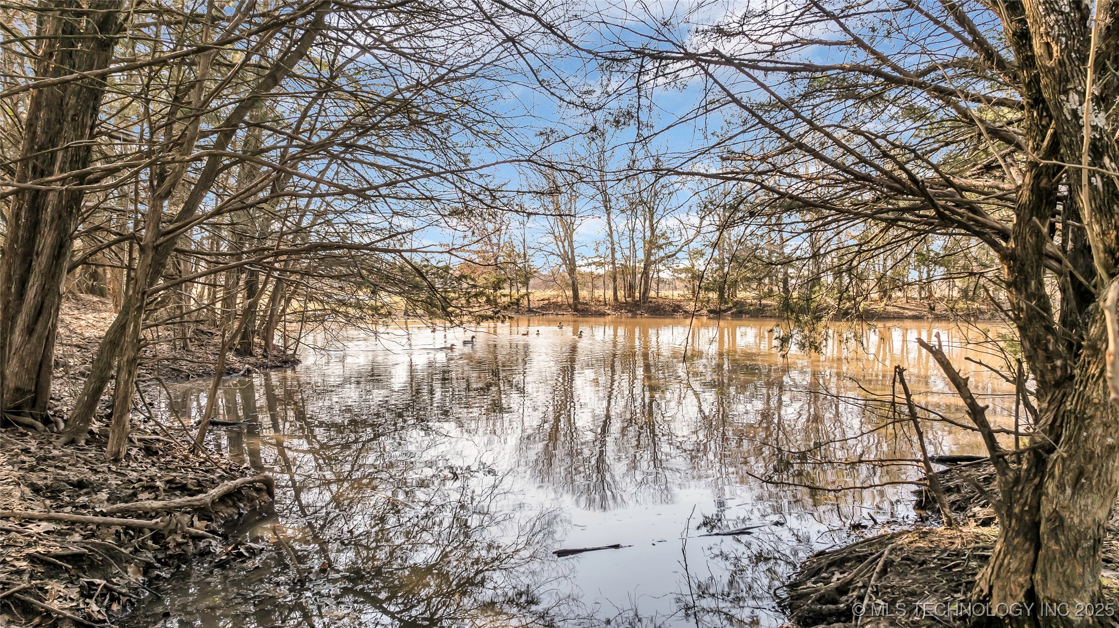 6296 Dickson Rd Property Photo 24