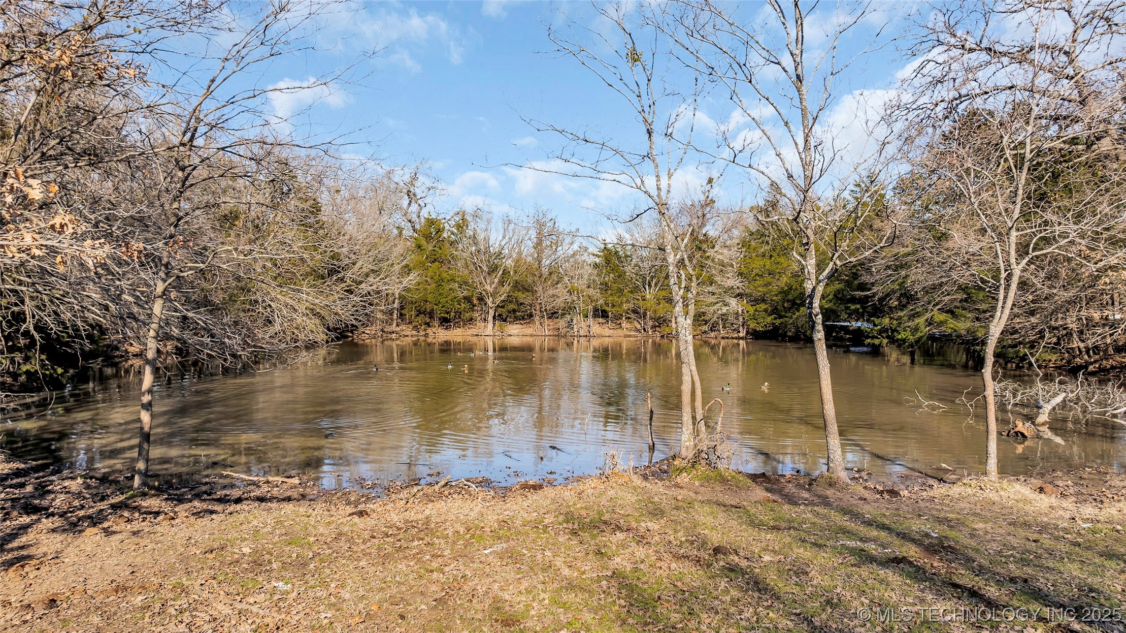6296 Dickson Rd Property Photo 25