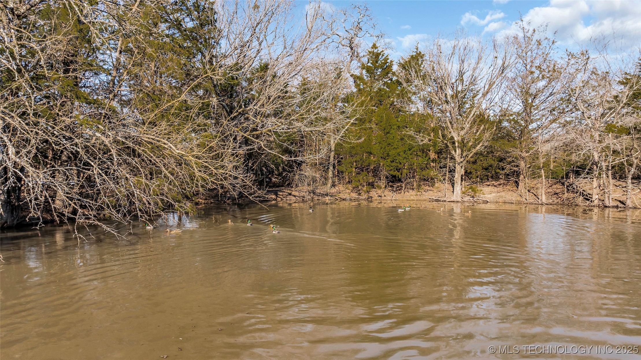 6296 Dickson Rd Property Photo 26