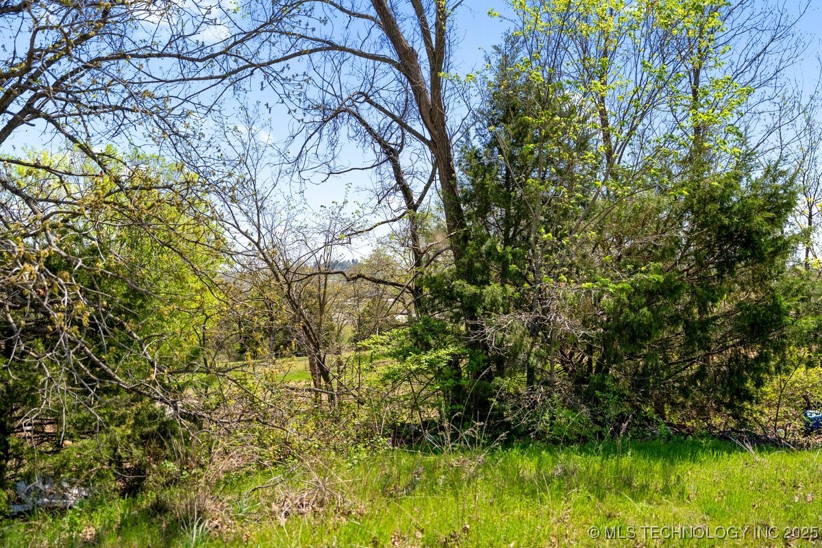 2 Hickory Bluff Street Property Photo 3