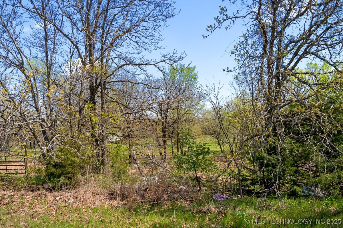 2 Hickory Bluff Street Property Photo 5