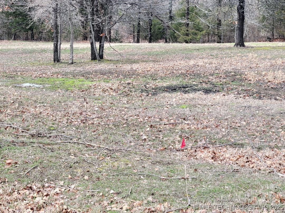 4299 Loop Property Photo 1