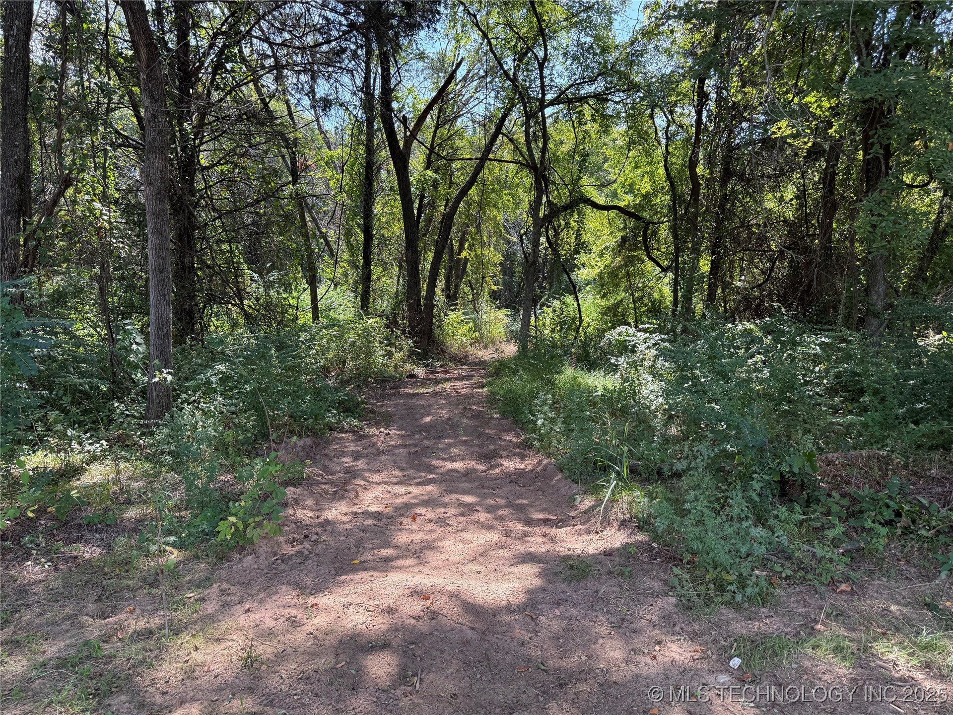 1508 Sikes Lane Property Photo 9