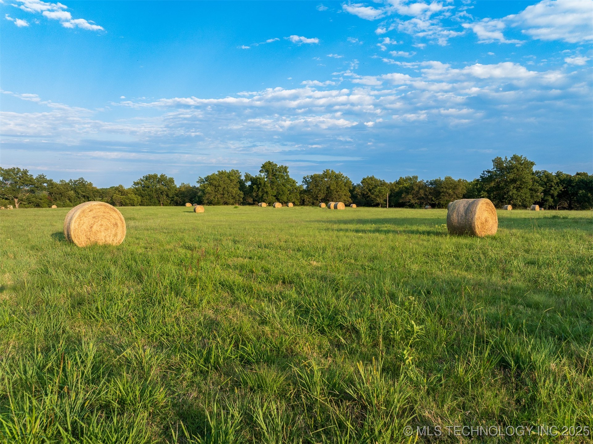 139 E 36th Street Property Photo 55
