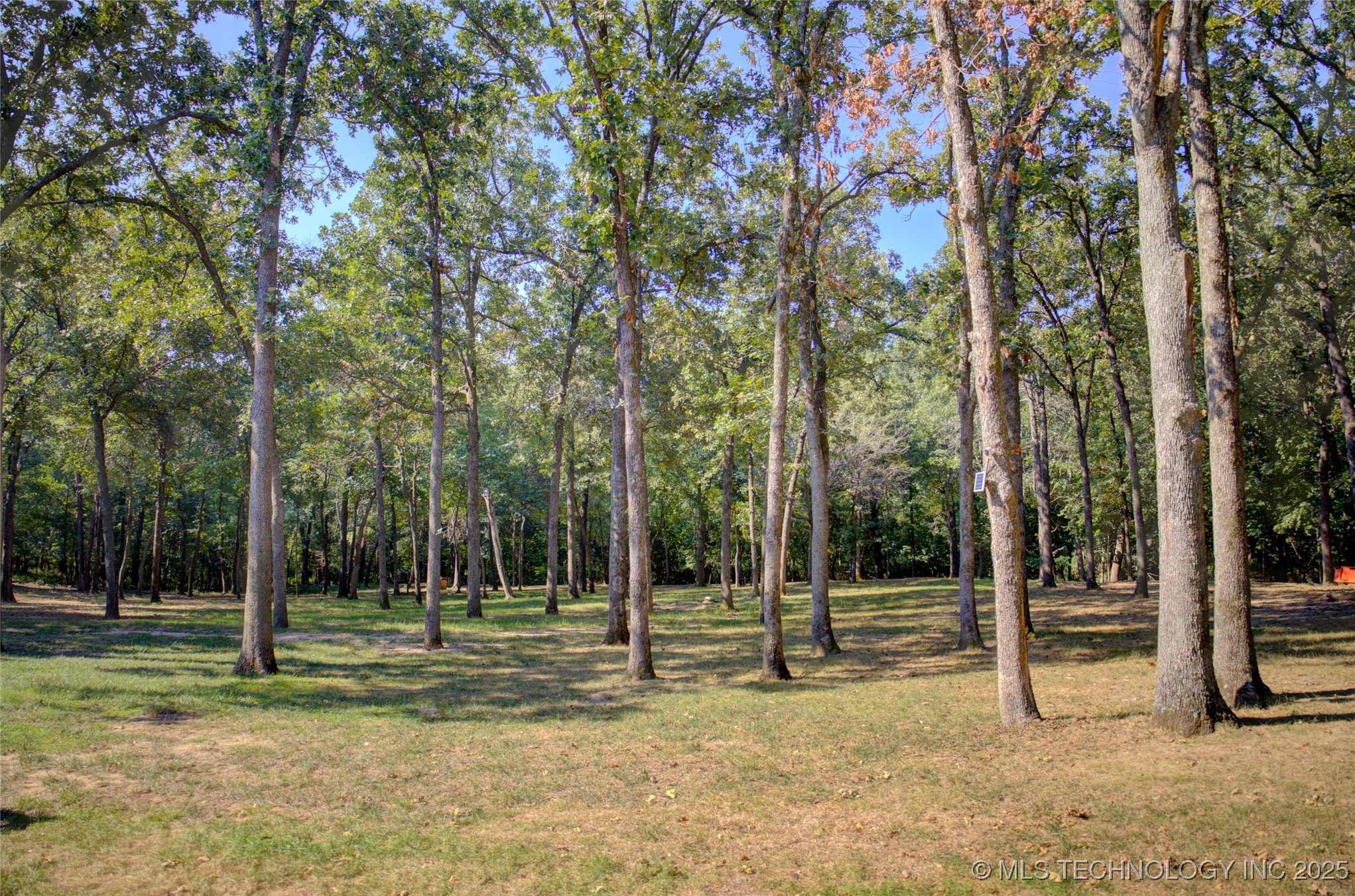 1414 N Birch Avenue Property Photo 67