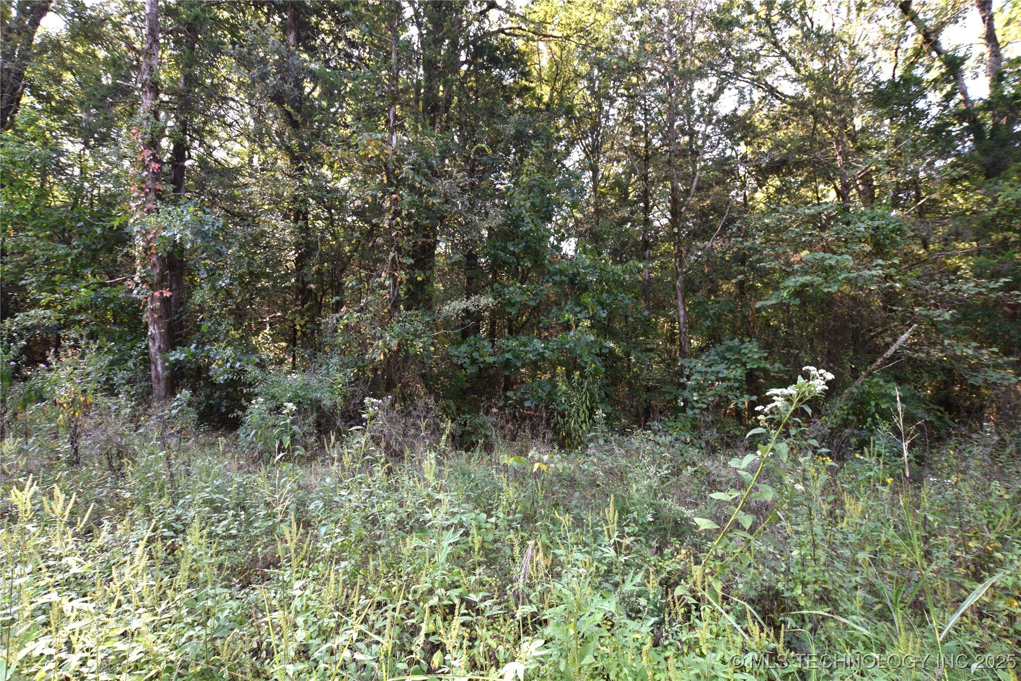 475201 E 850 Road Property Photo 13