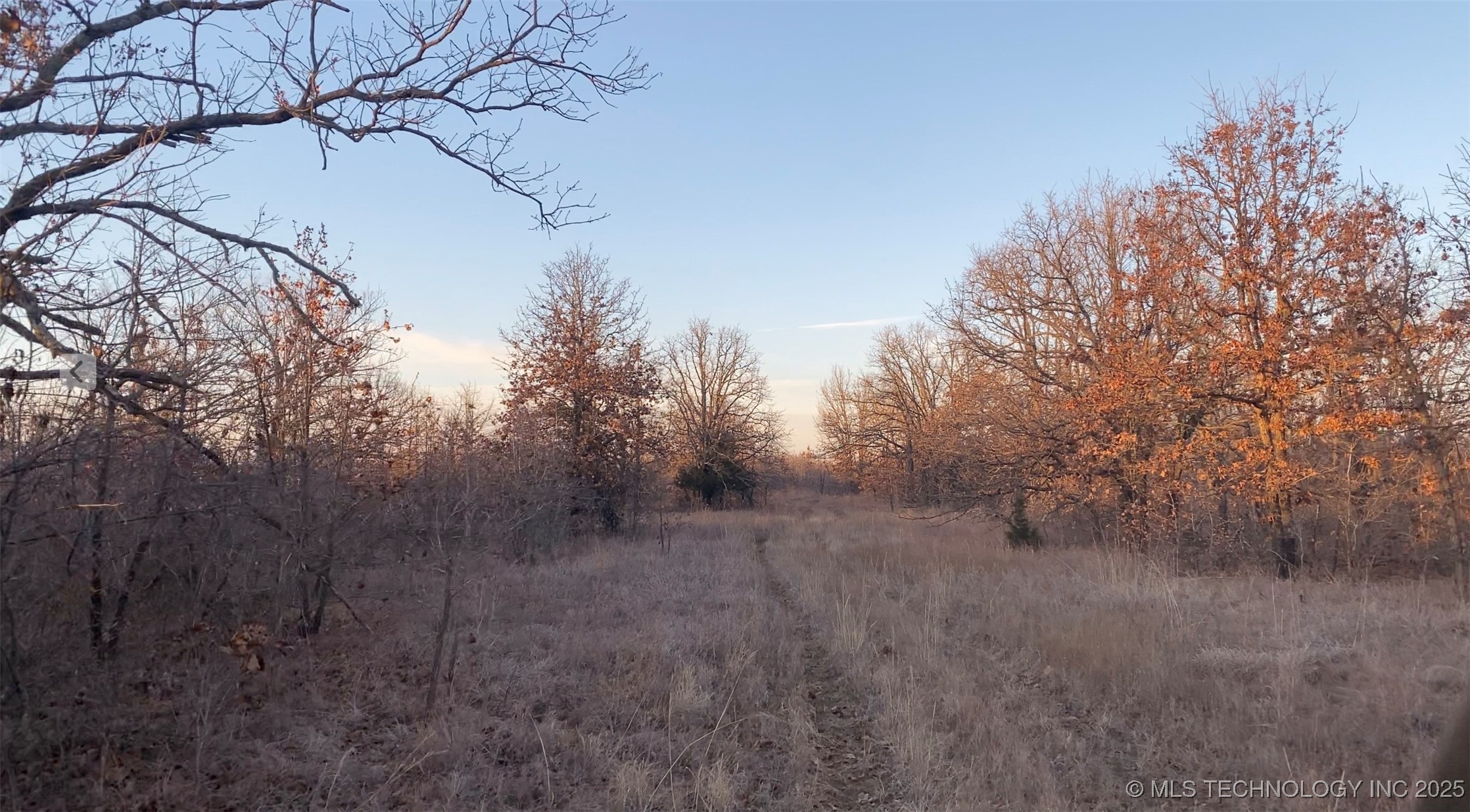 38591 W 131st Street Property Photo 4