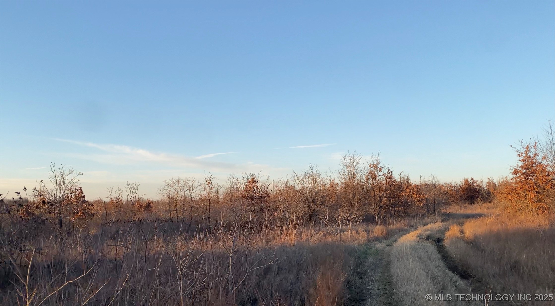 38591 W 131st Street Property Photo 6