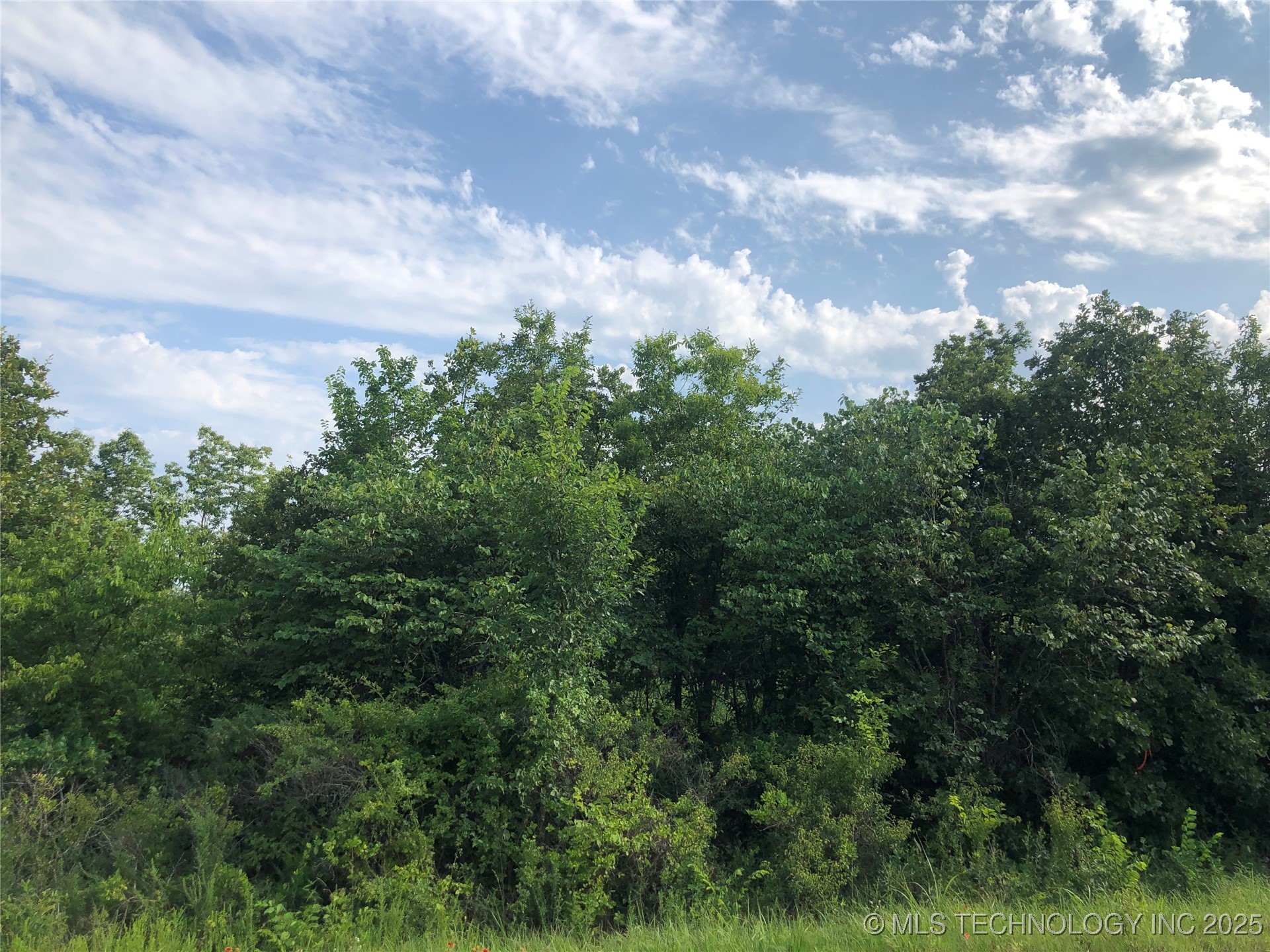 W 181st Street S Property Photo 6