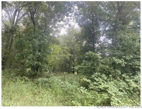 S 529th Avenue Property Photo 2