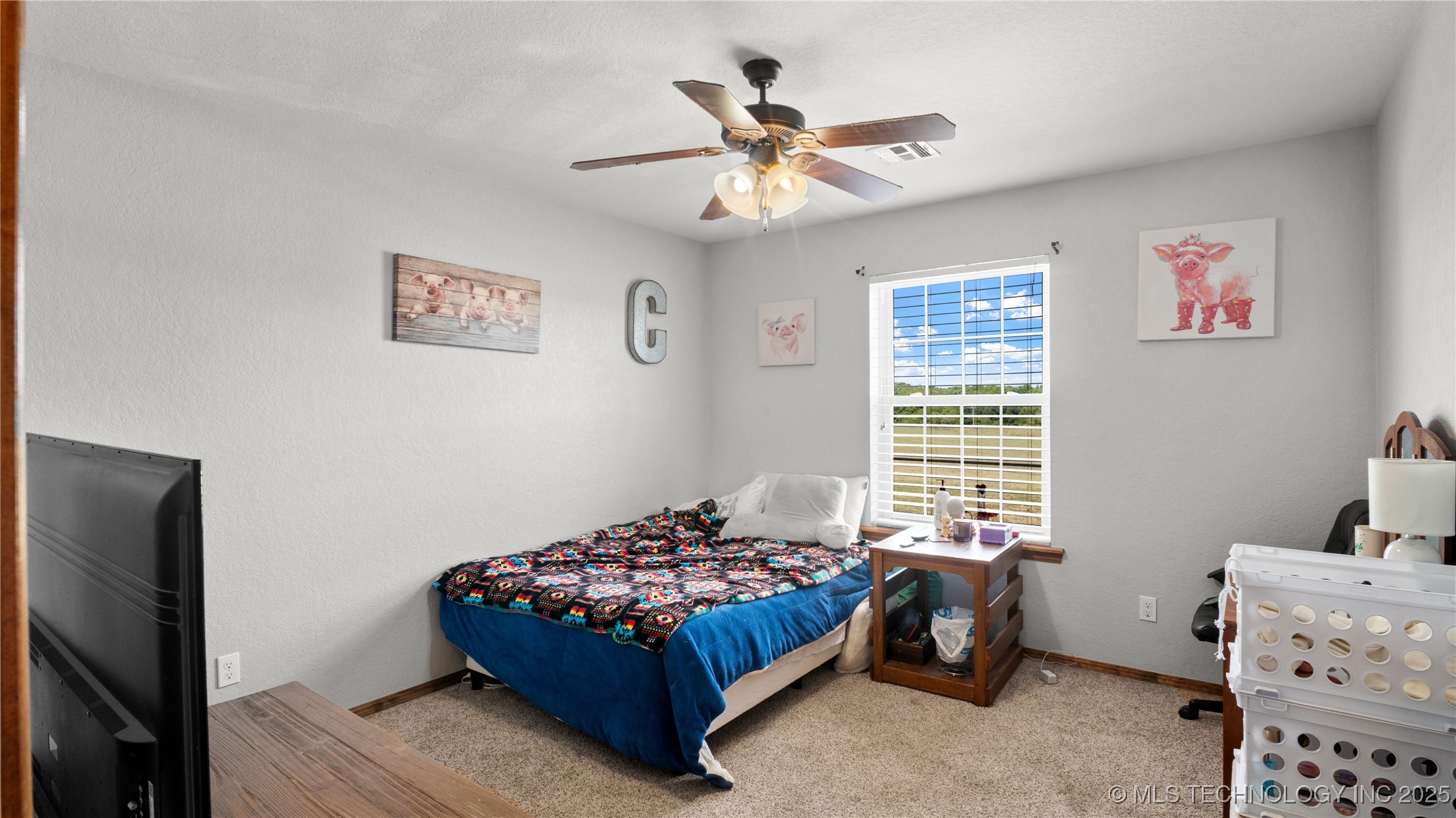 18091 N County Road 3350 Property Photo 8