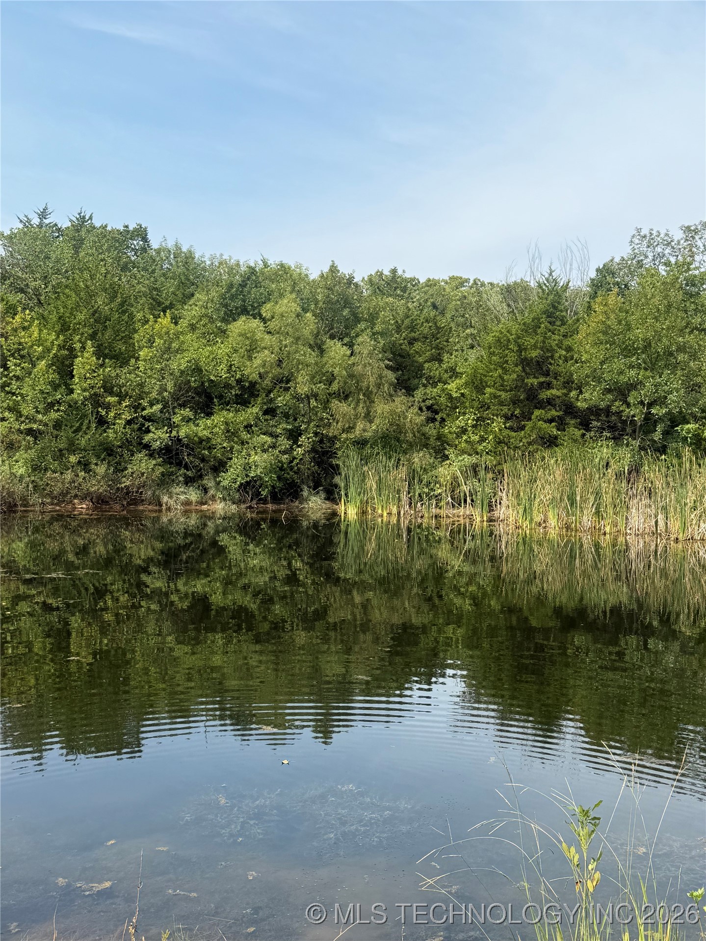 0000 N Battle Ridge Property Photo 5