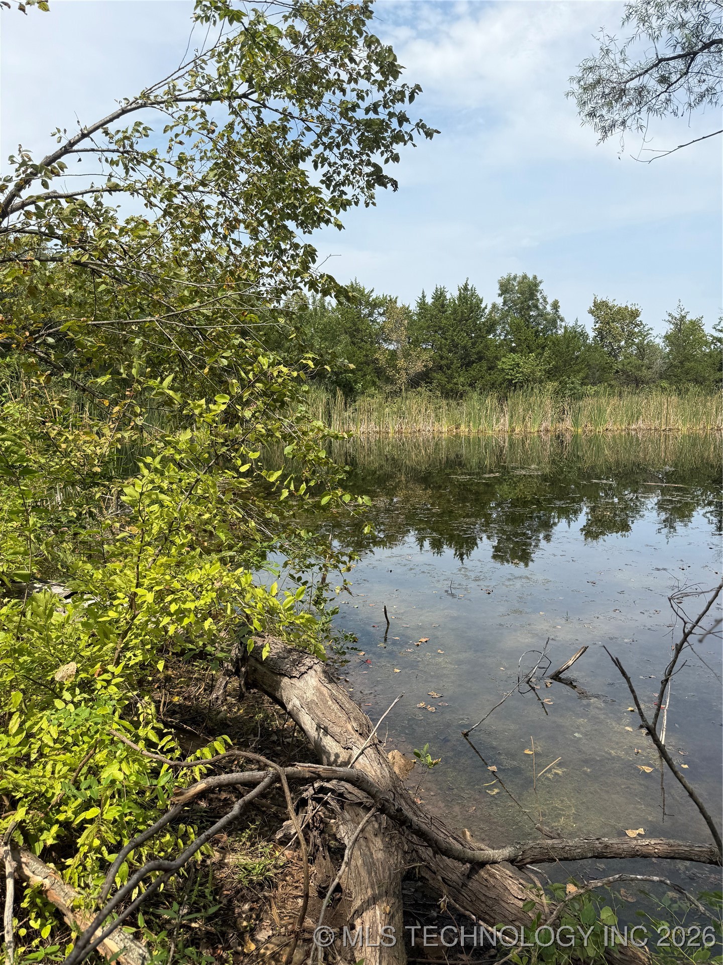 0000 N Battle Ridge Property Photo 50