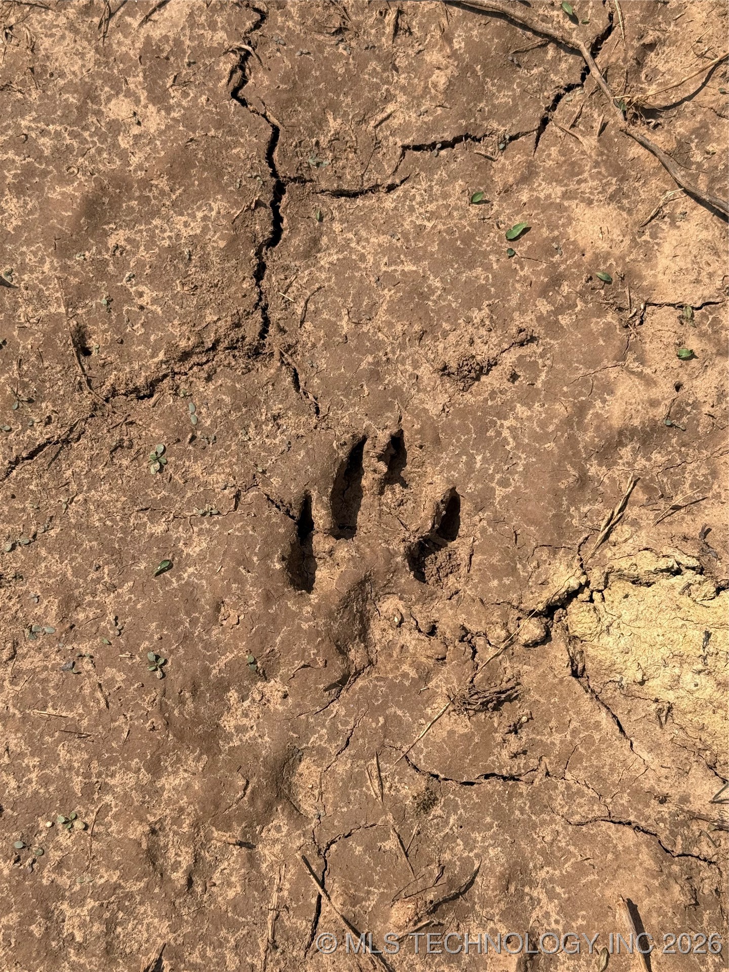 0000 N Battle Ridge Property Photo 66