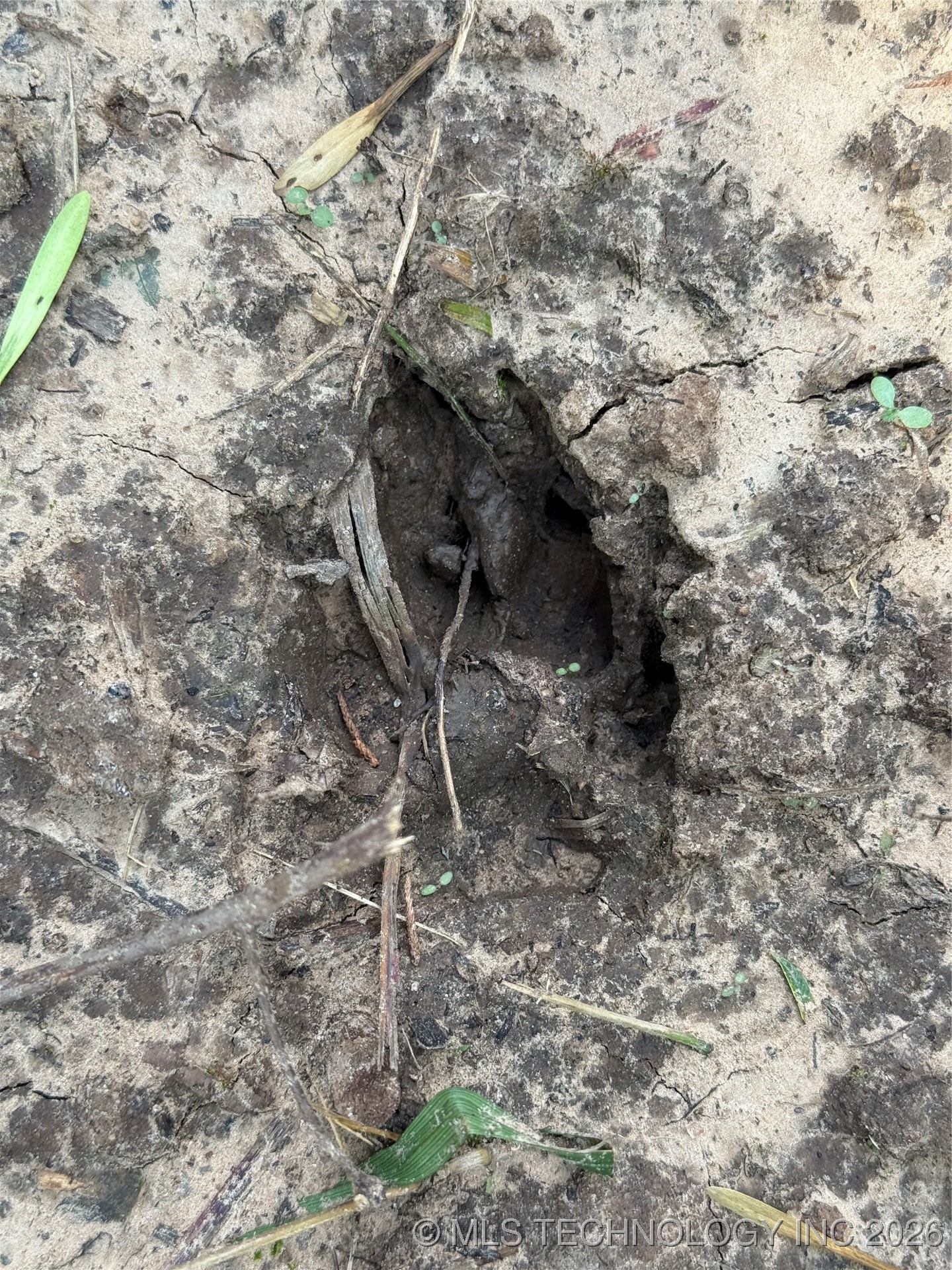 0000 N Battle Ridge Property Photo 67