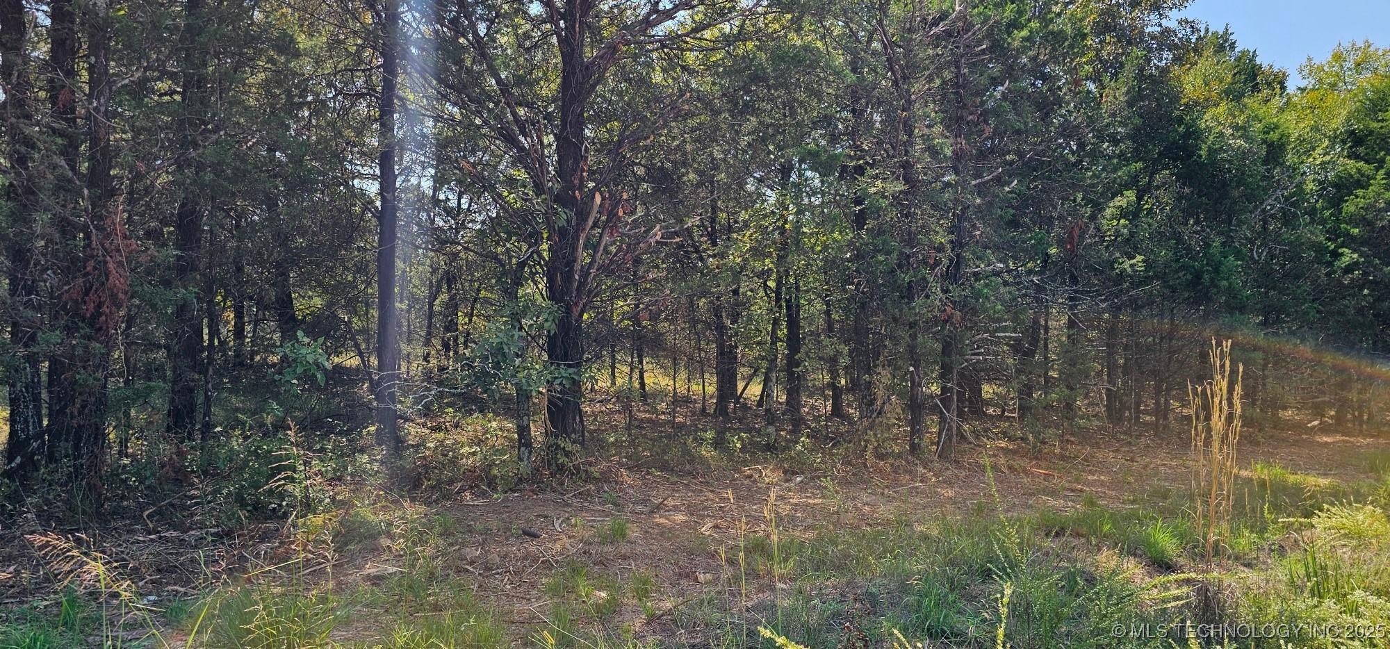 000000 994 Road Property Photo 4