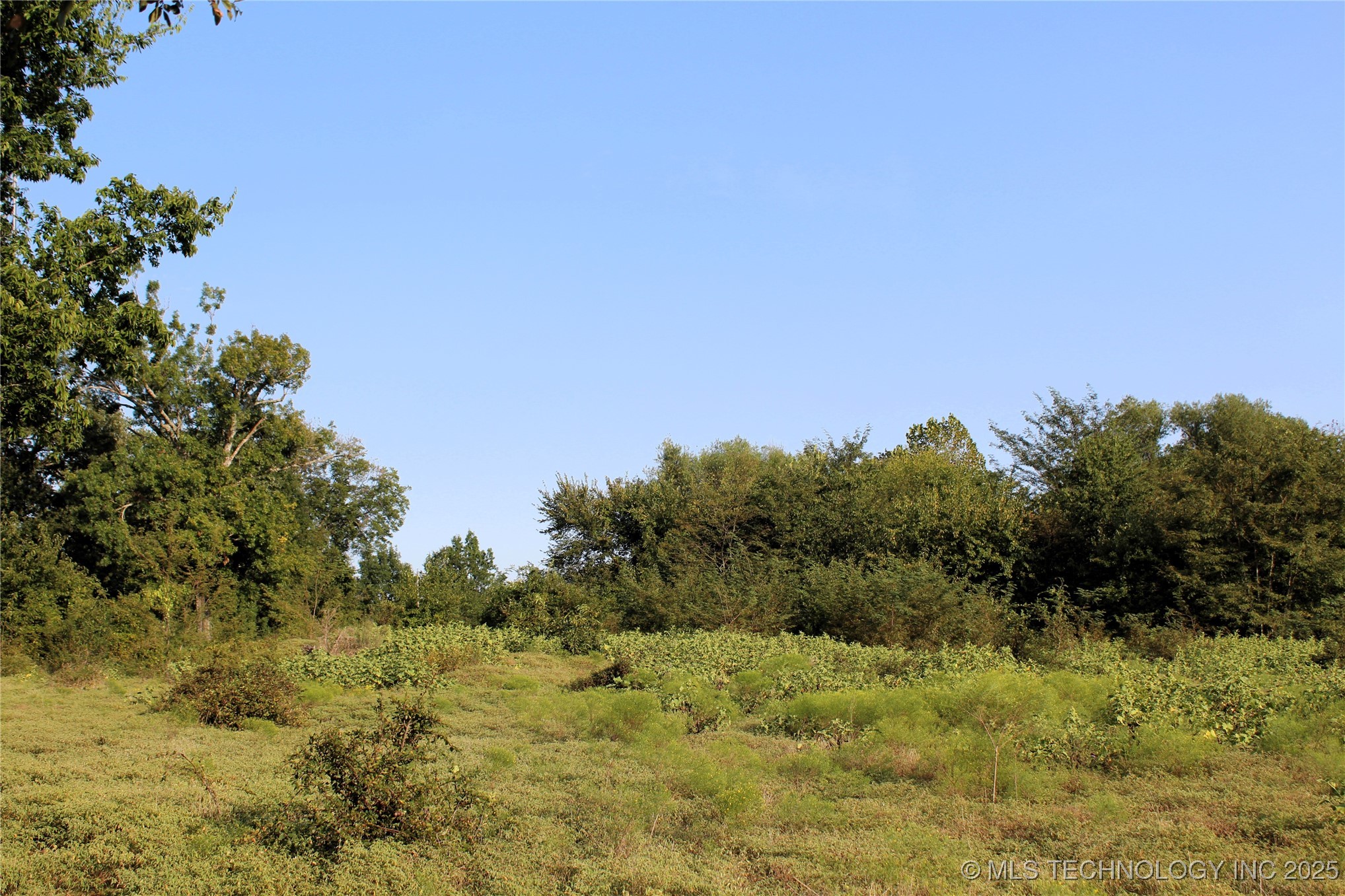 Us Hwy 70 Property Photo 2