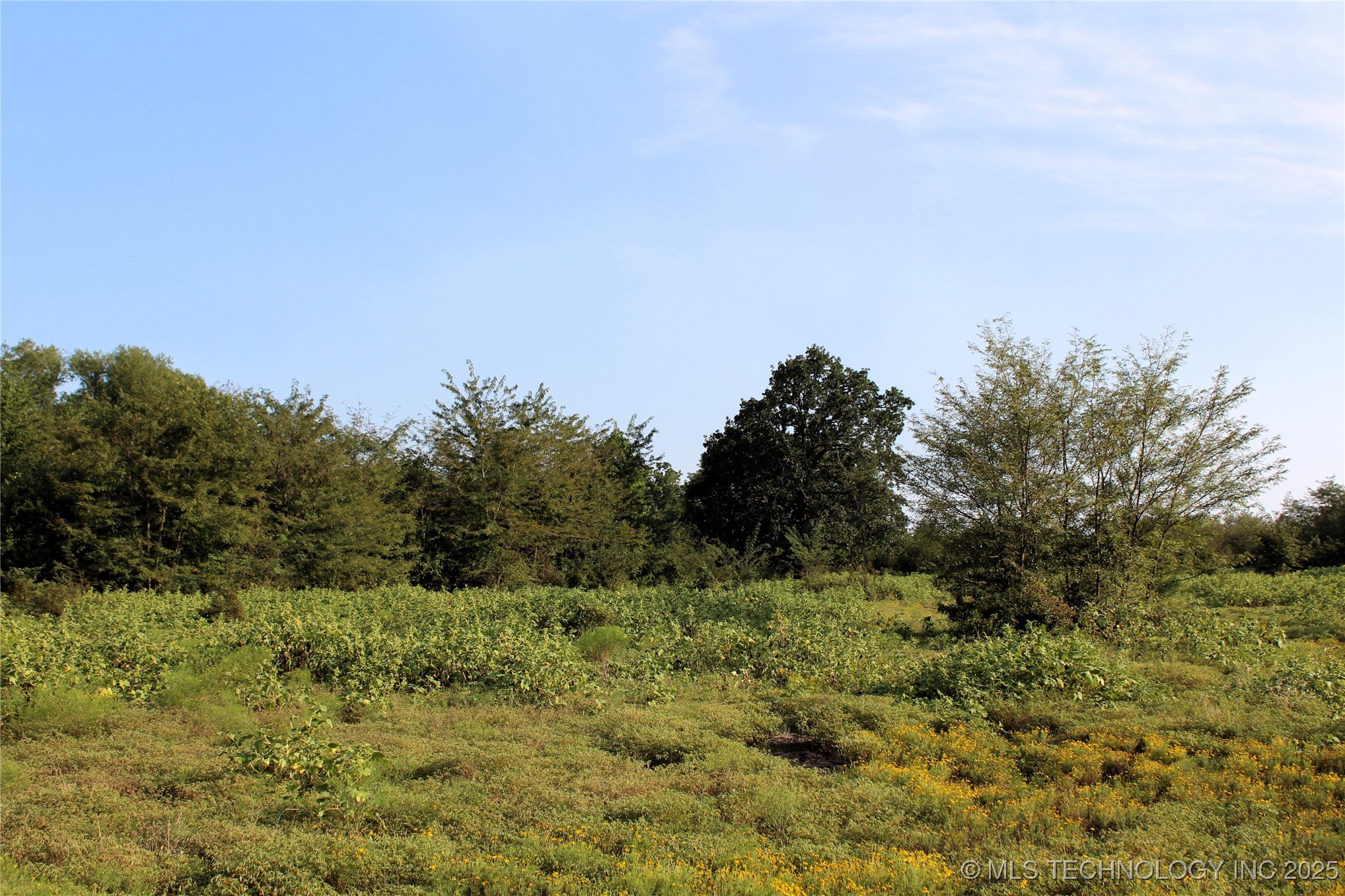 Us Hwy 70 Property Photo 3