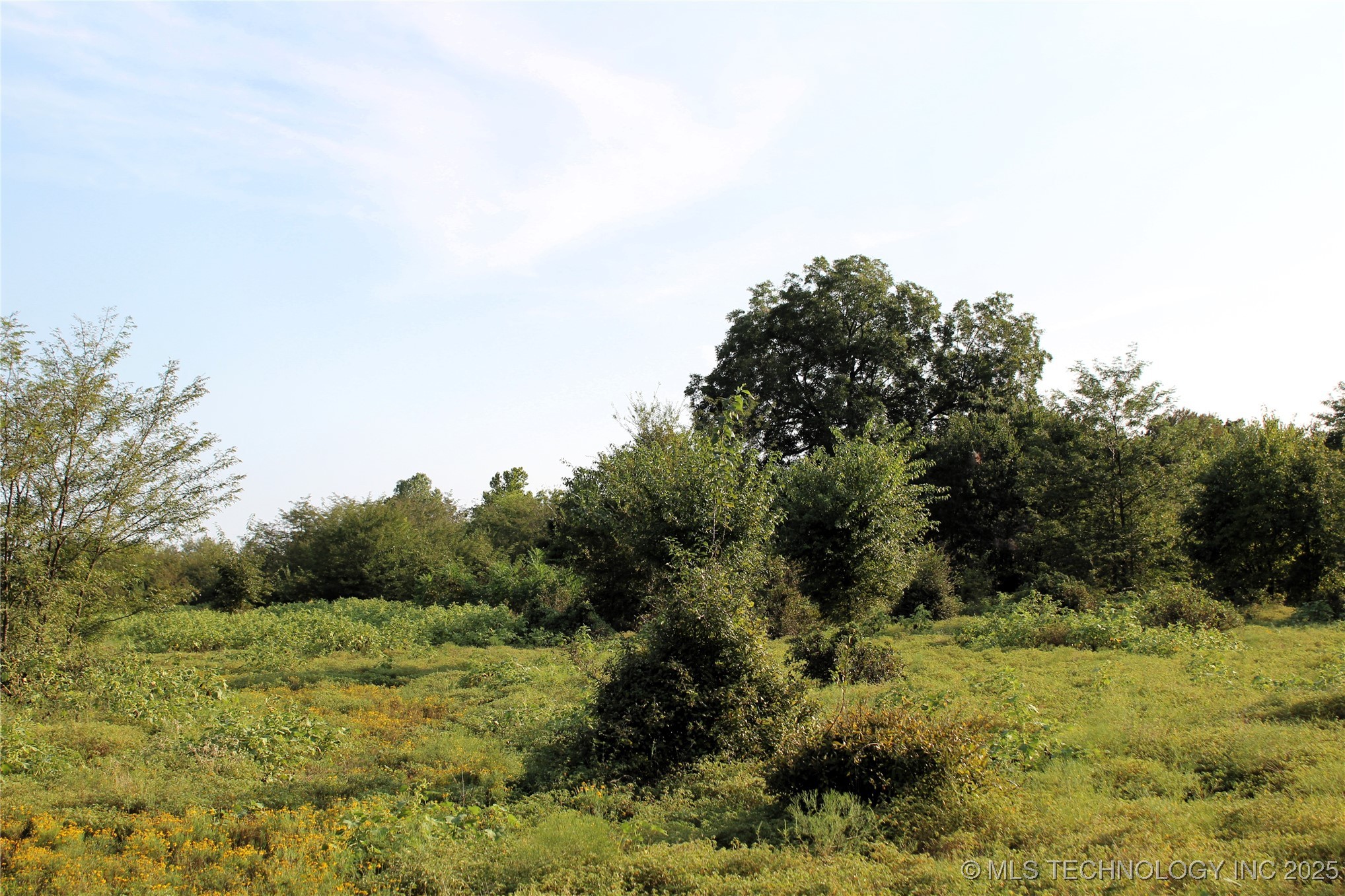 Us Hwy 70 Property Photo 4