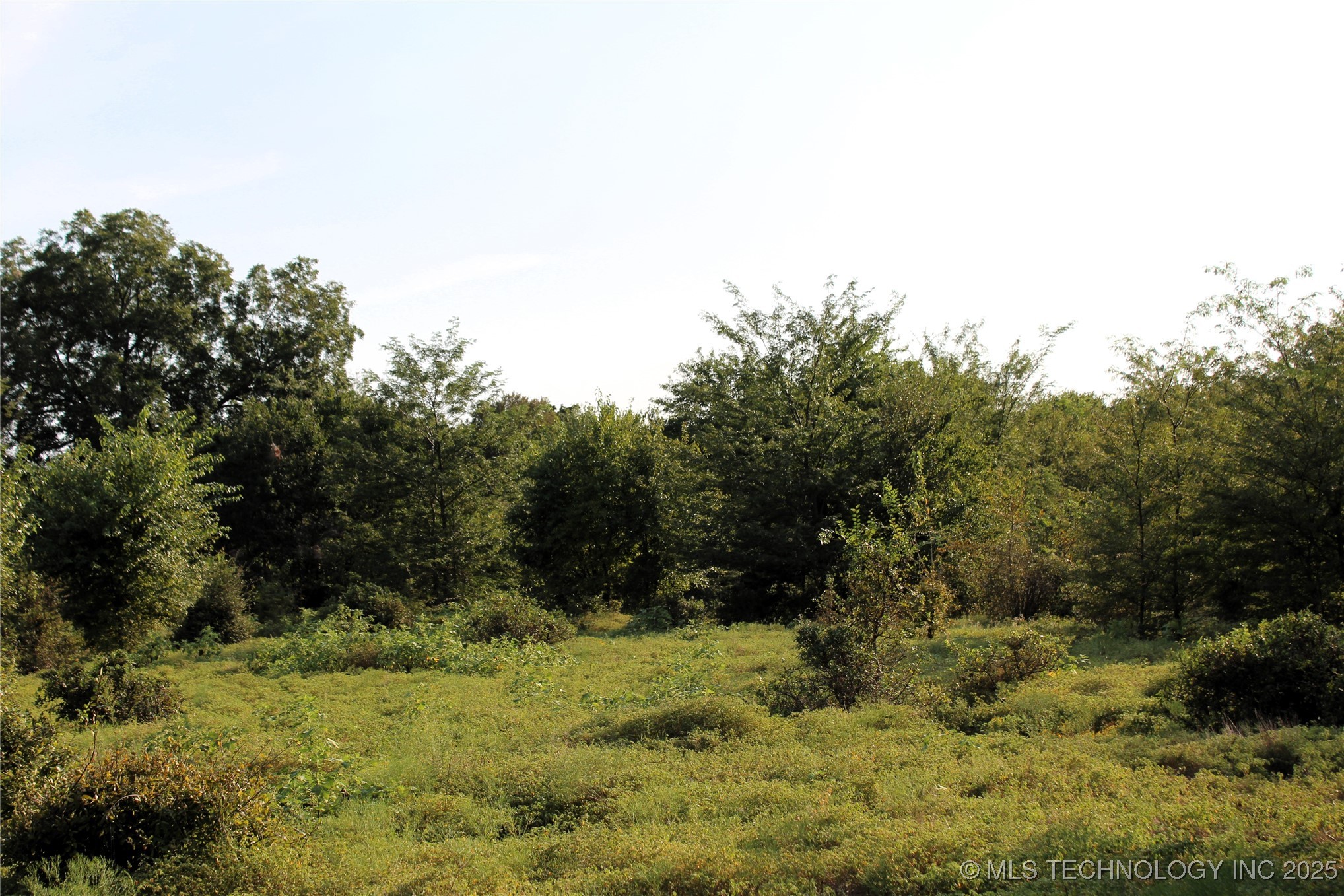 Us Hwy 70 Property Photo 5