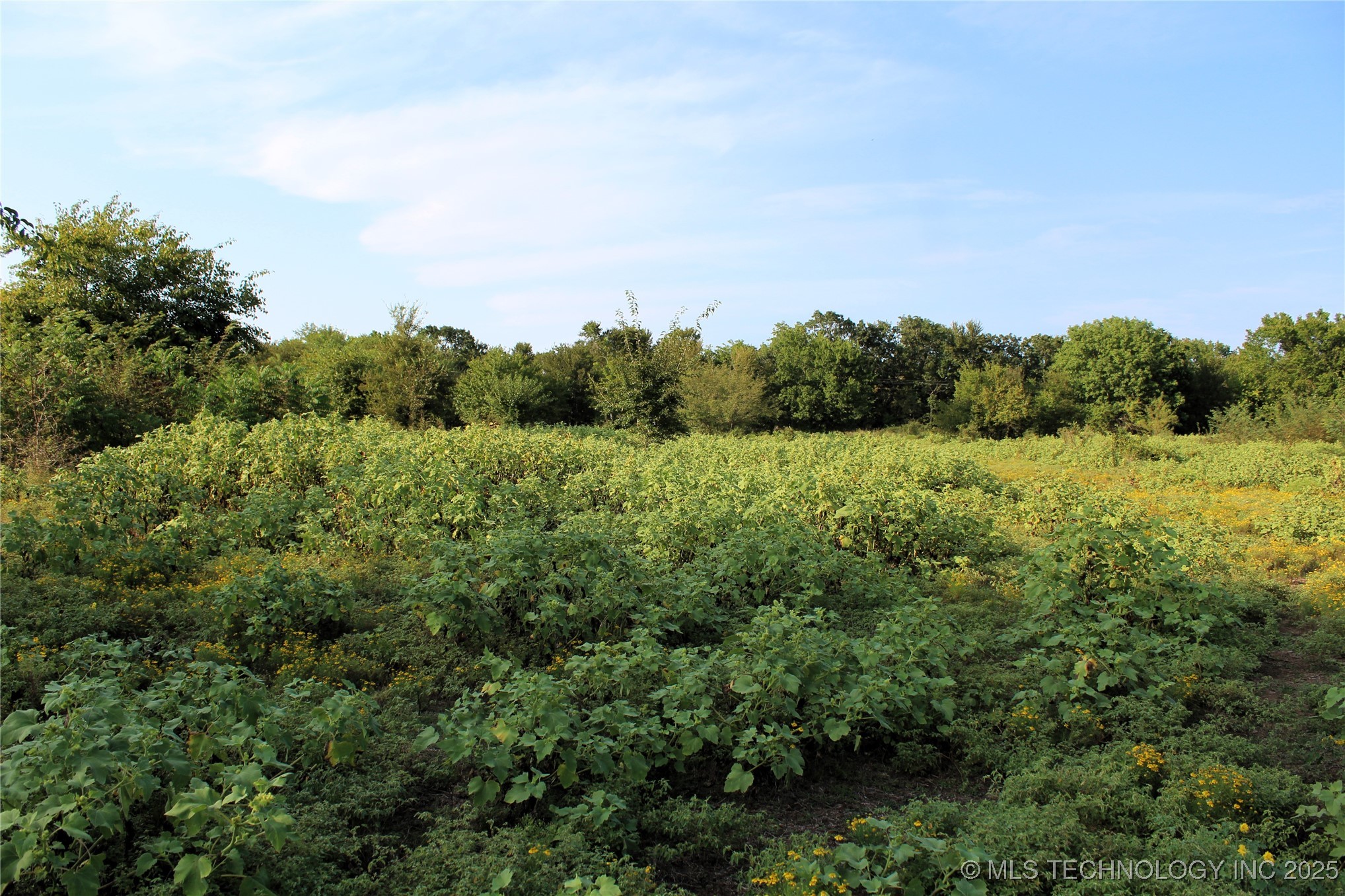 Us Hwy 70 Property Photo 6