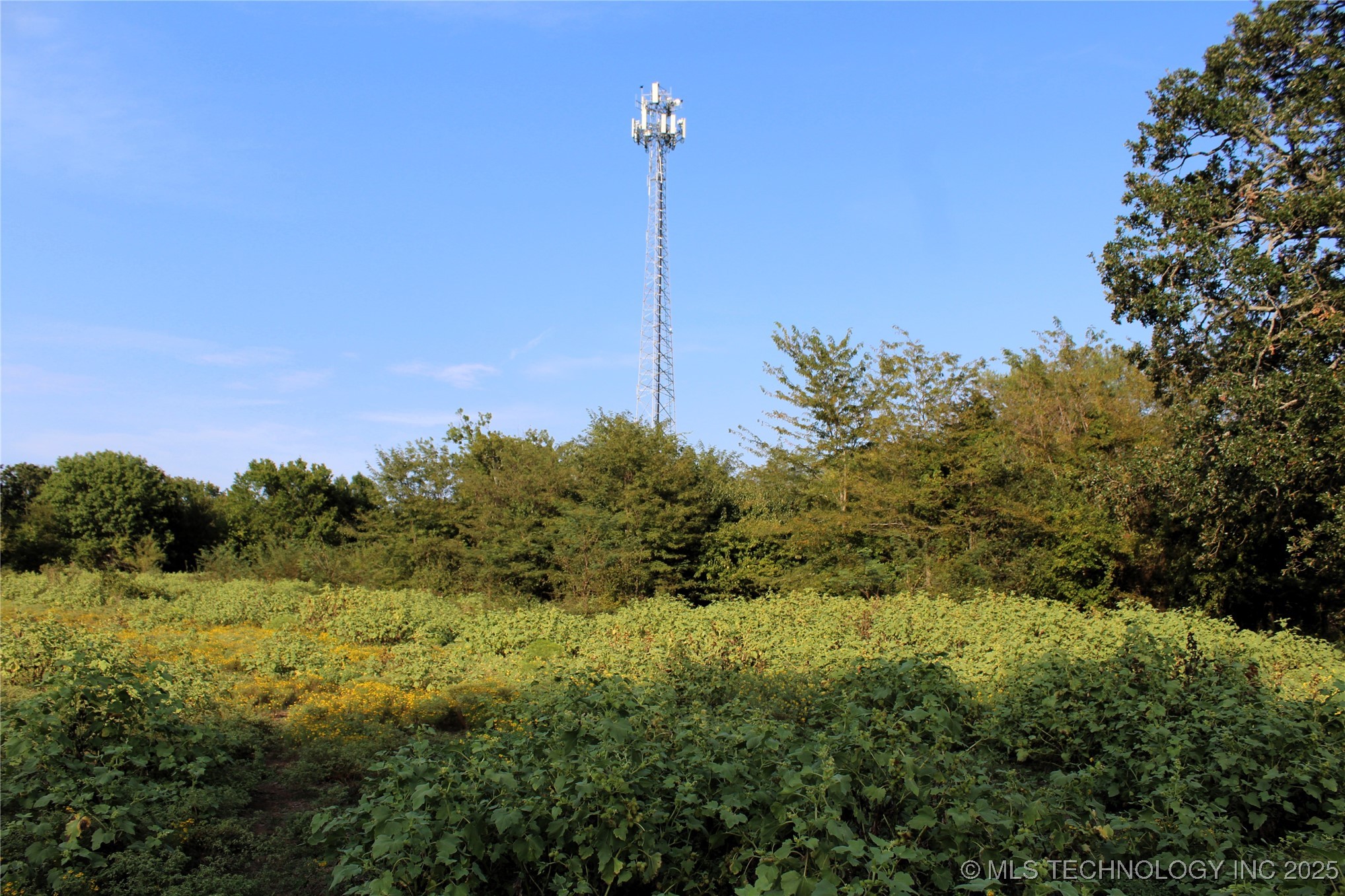 Us Hwy 70 Property Photo 7