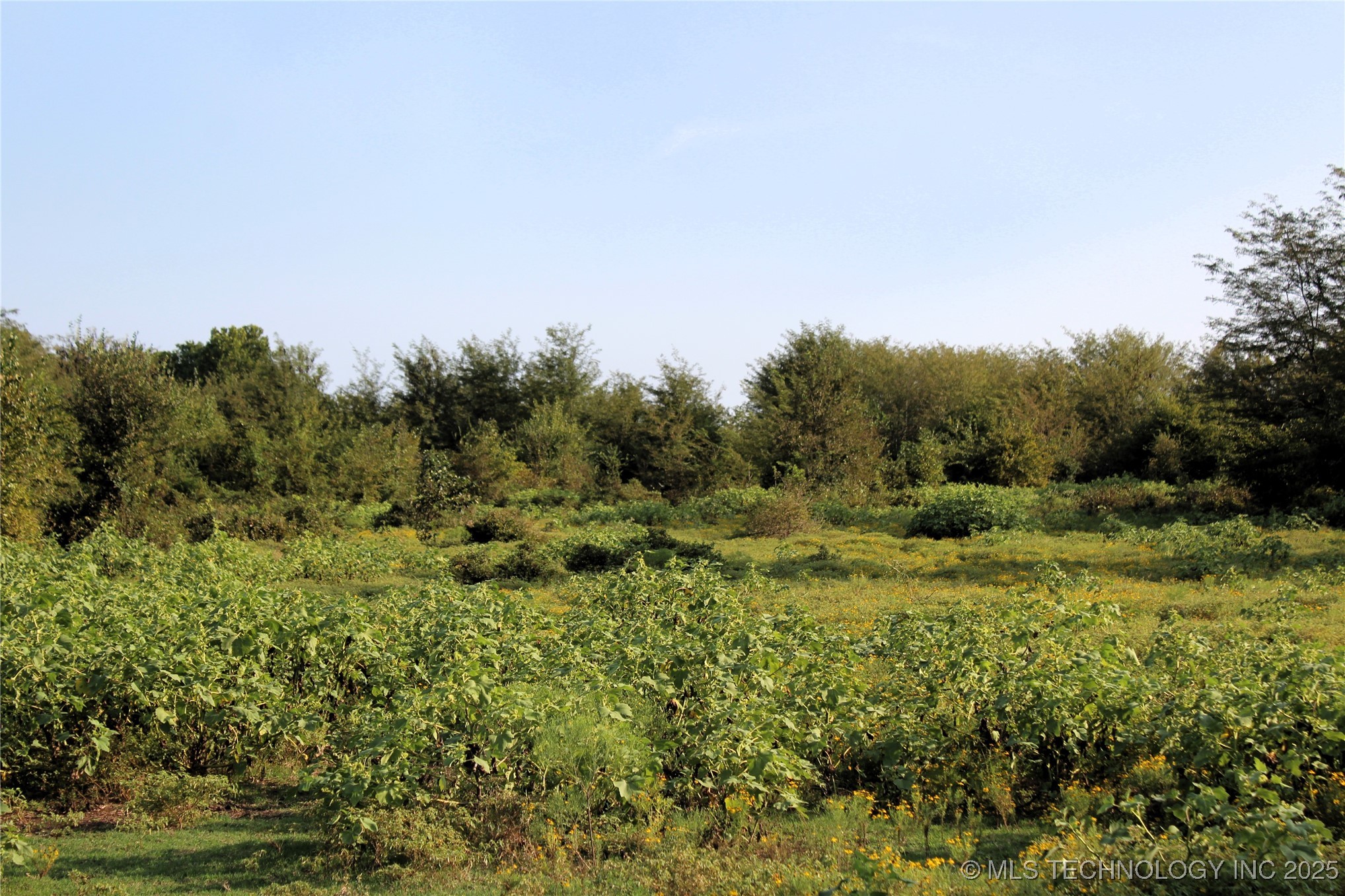 Us Hwy 70 Property Photo 8