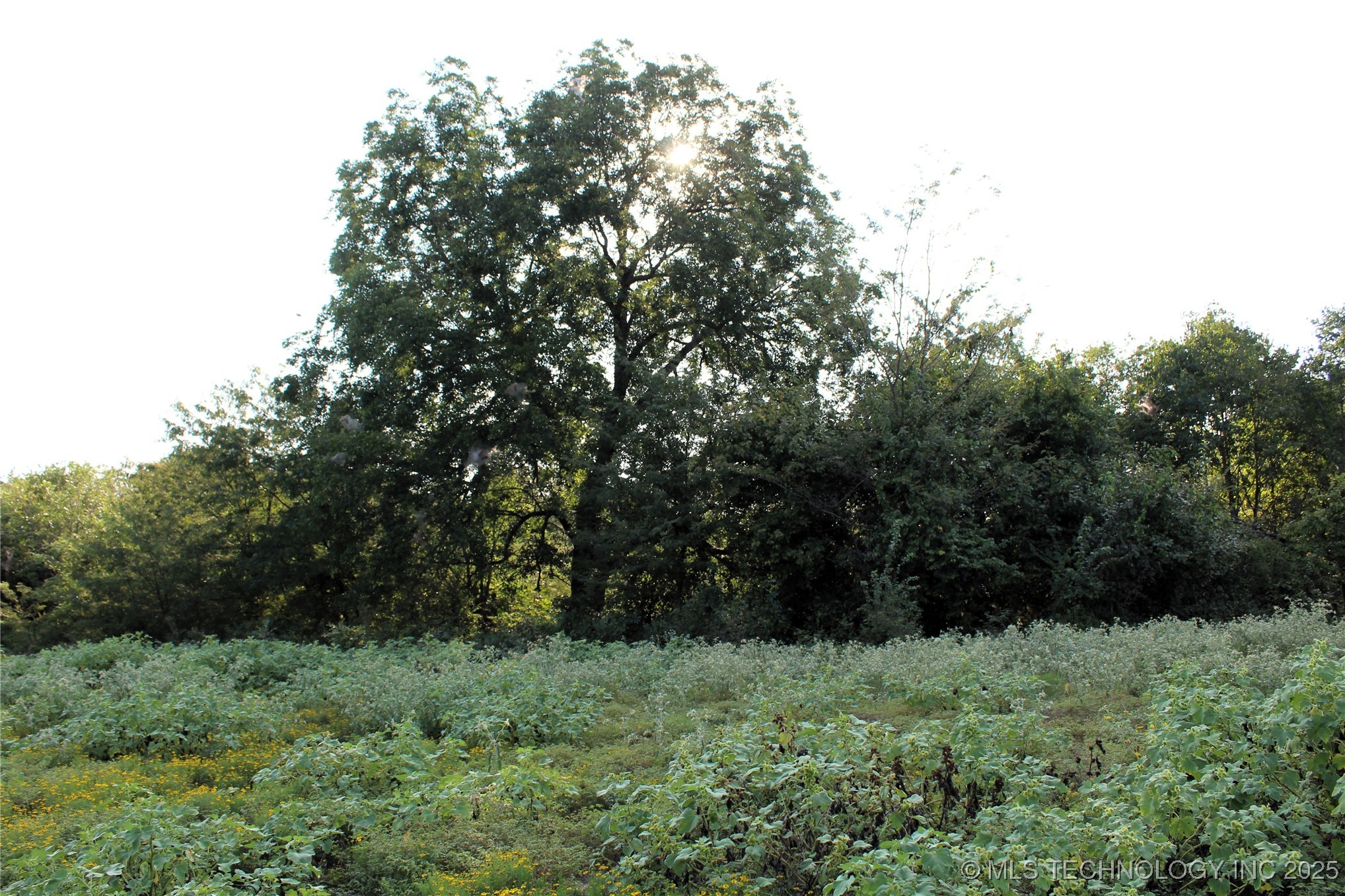 Us Hwy 70 Property Photo 9