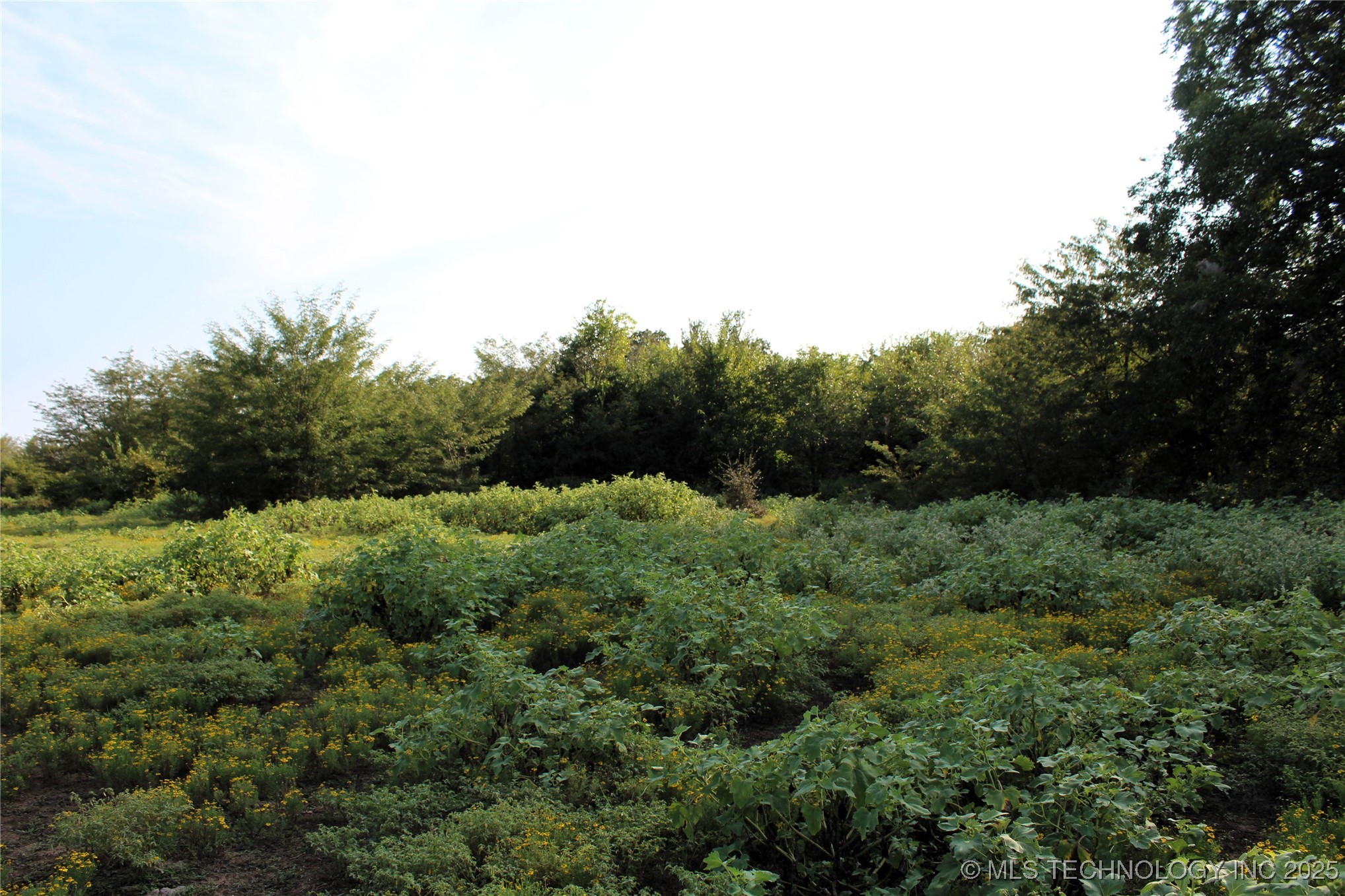 Us Hwy 70 Property Photo 10