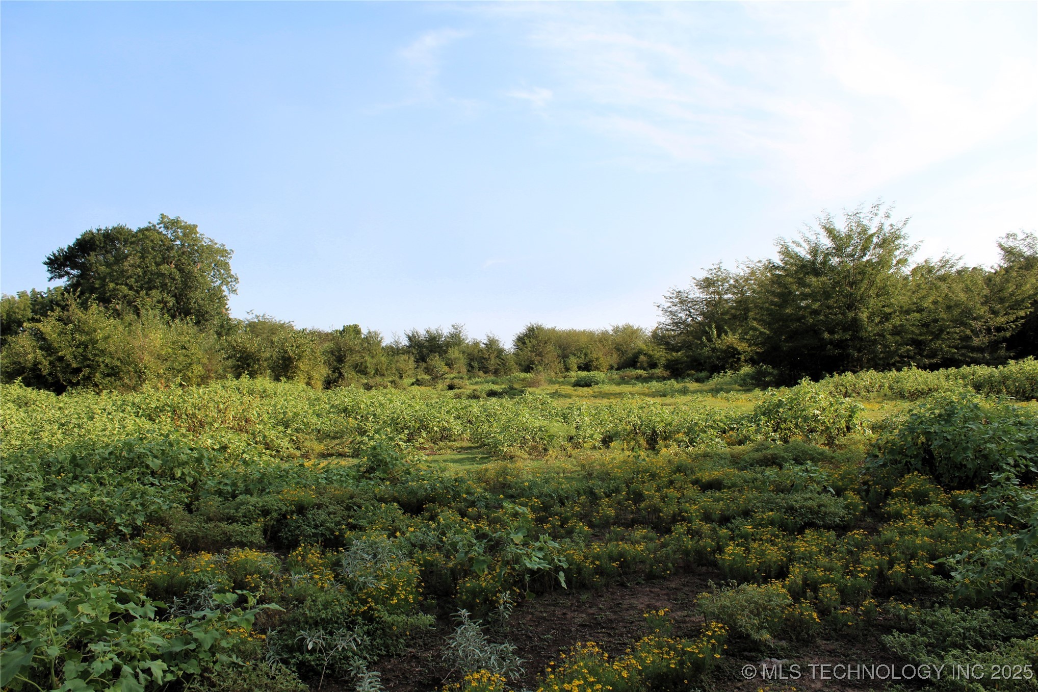 Us Hwy 70 Property Photo 11