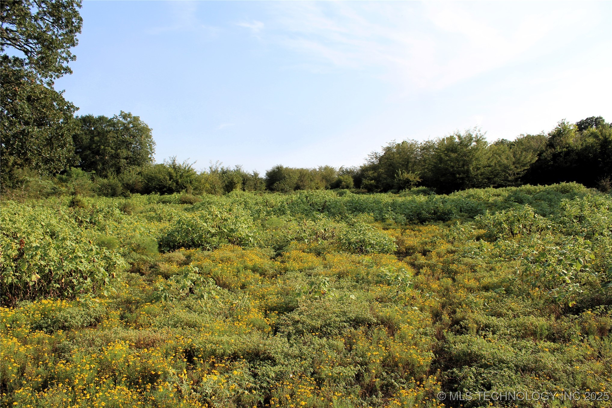 Us Hwy 70 Property Photo 12