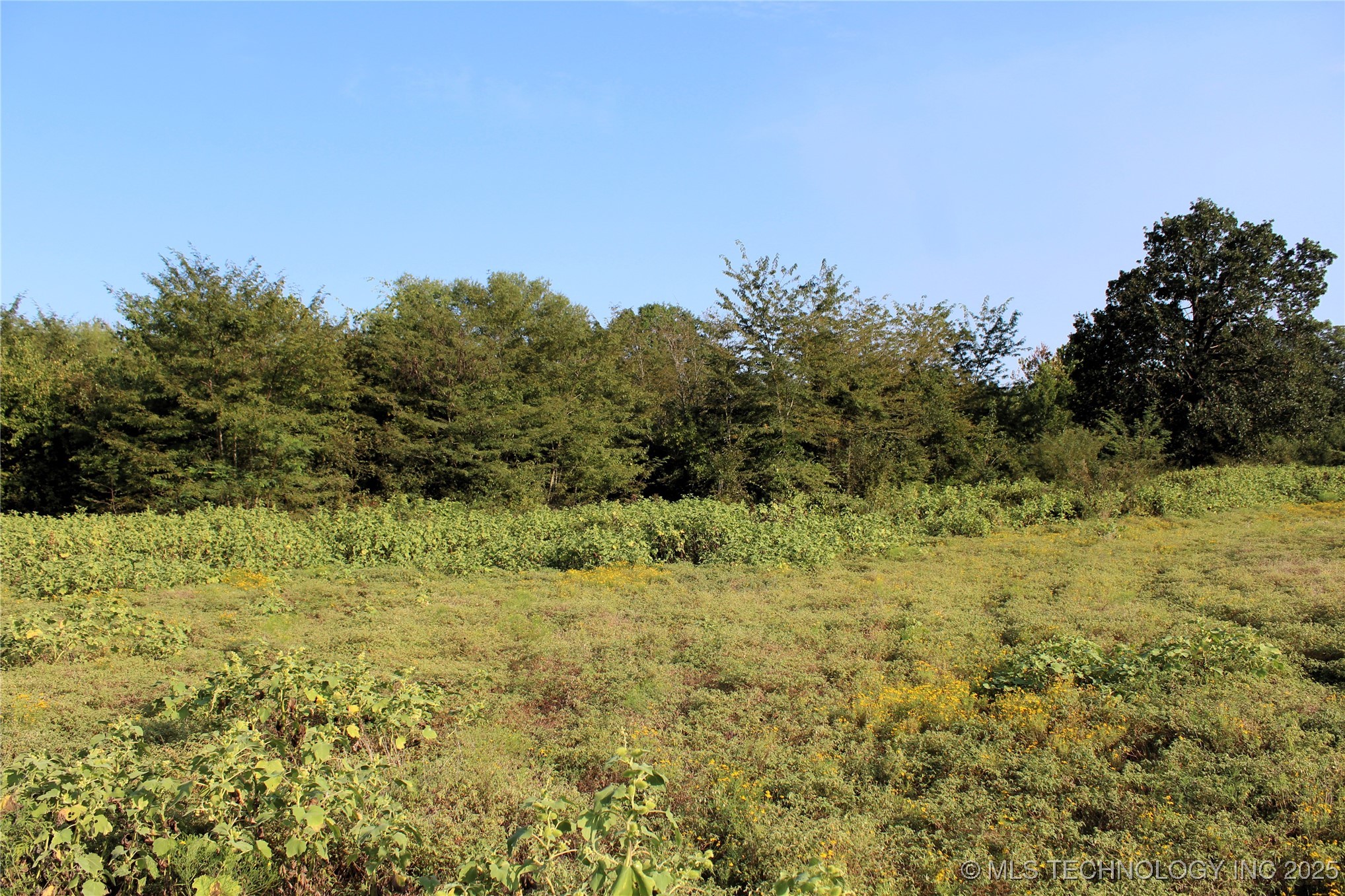 Us Hwy 70 Property Photo 13