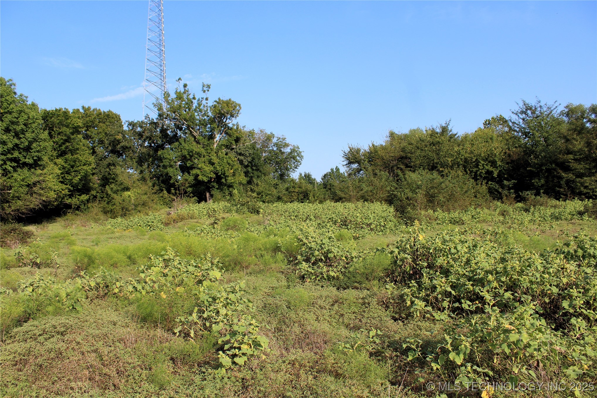 Us Hwy 70 Property Photo 14