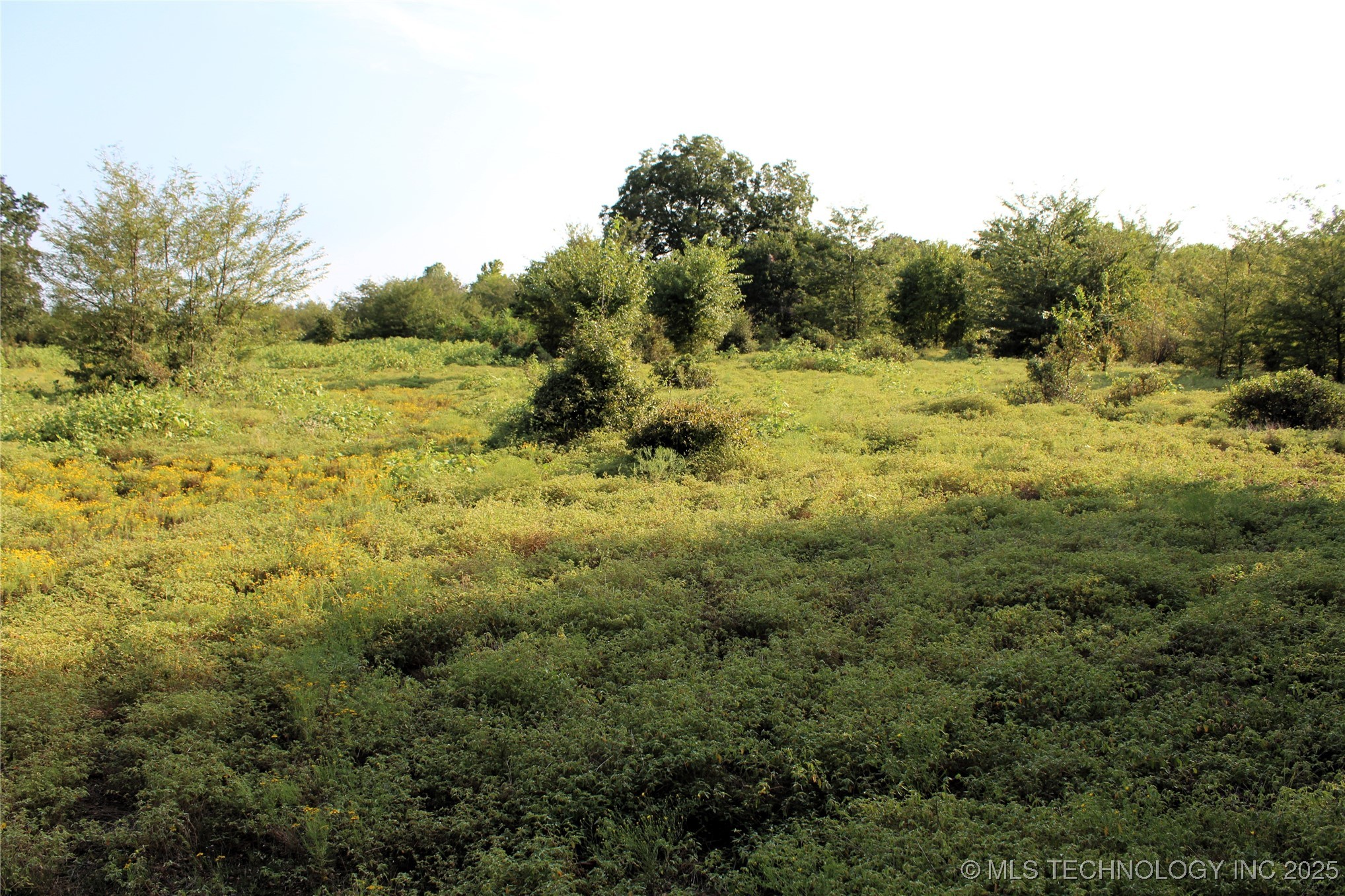 Us Hwy 70 Property Photo 15