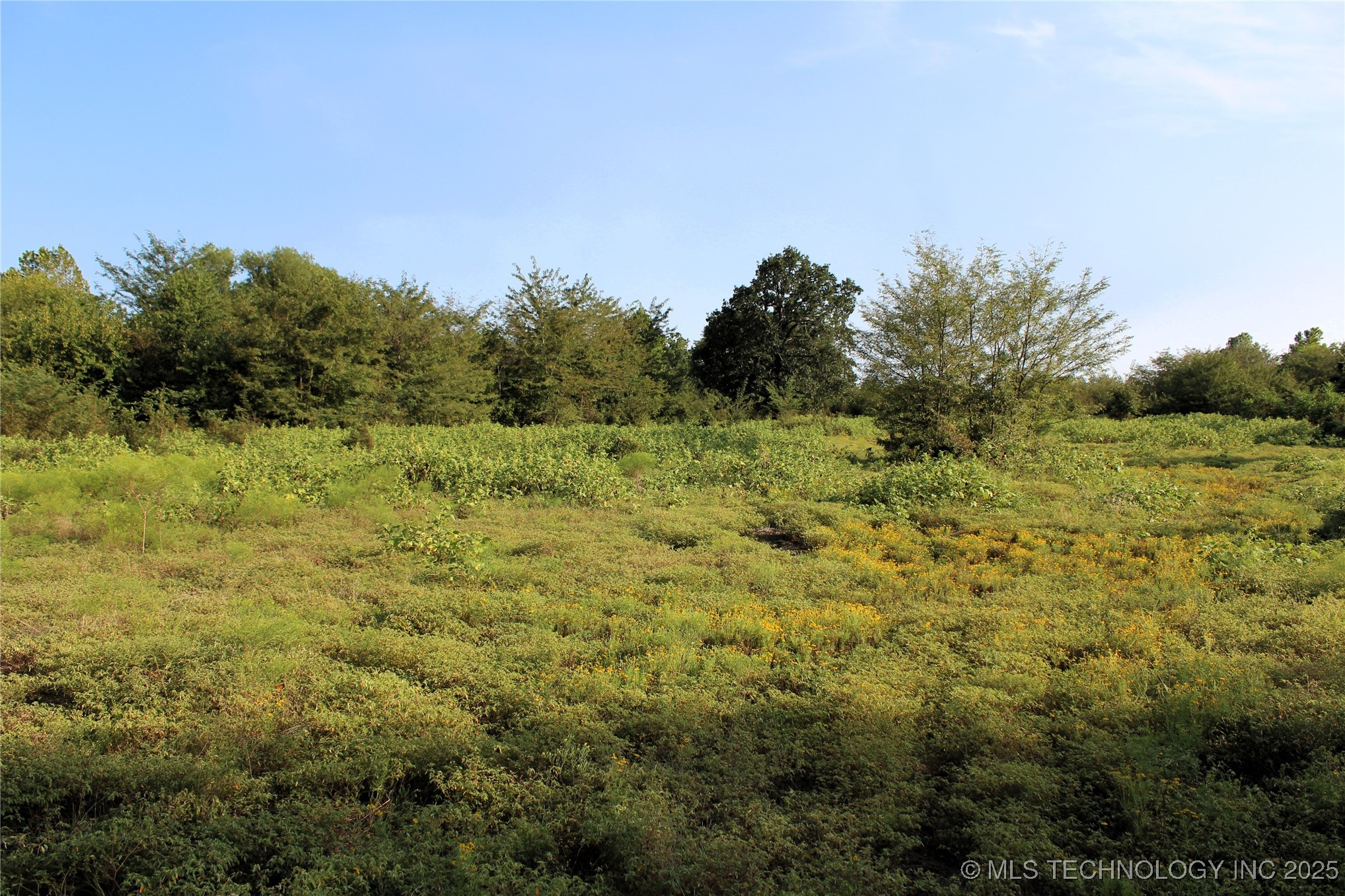 Us Hwy 70 Property Photo 16