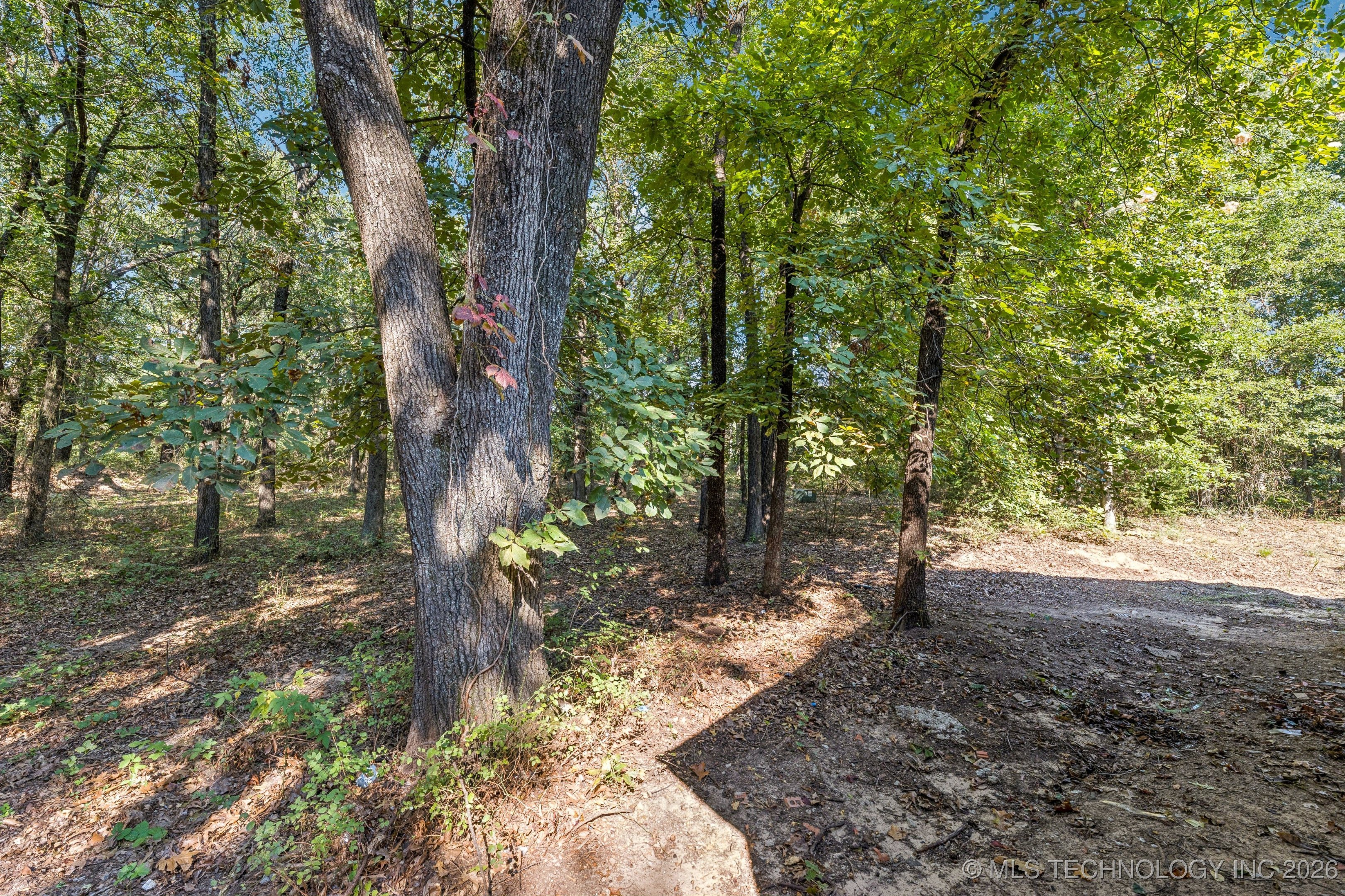 2824 New Prue Road Property Photo 29