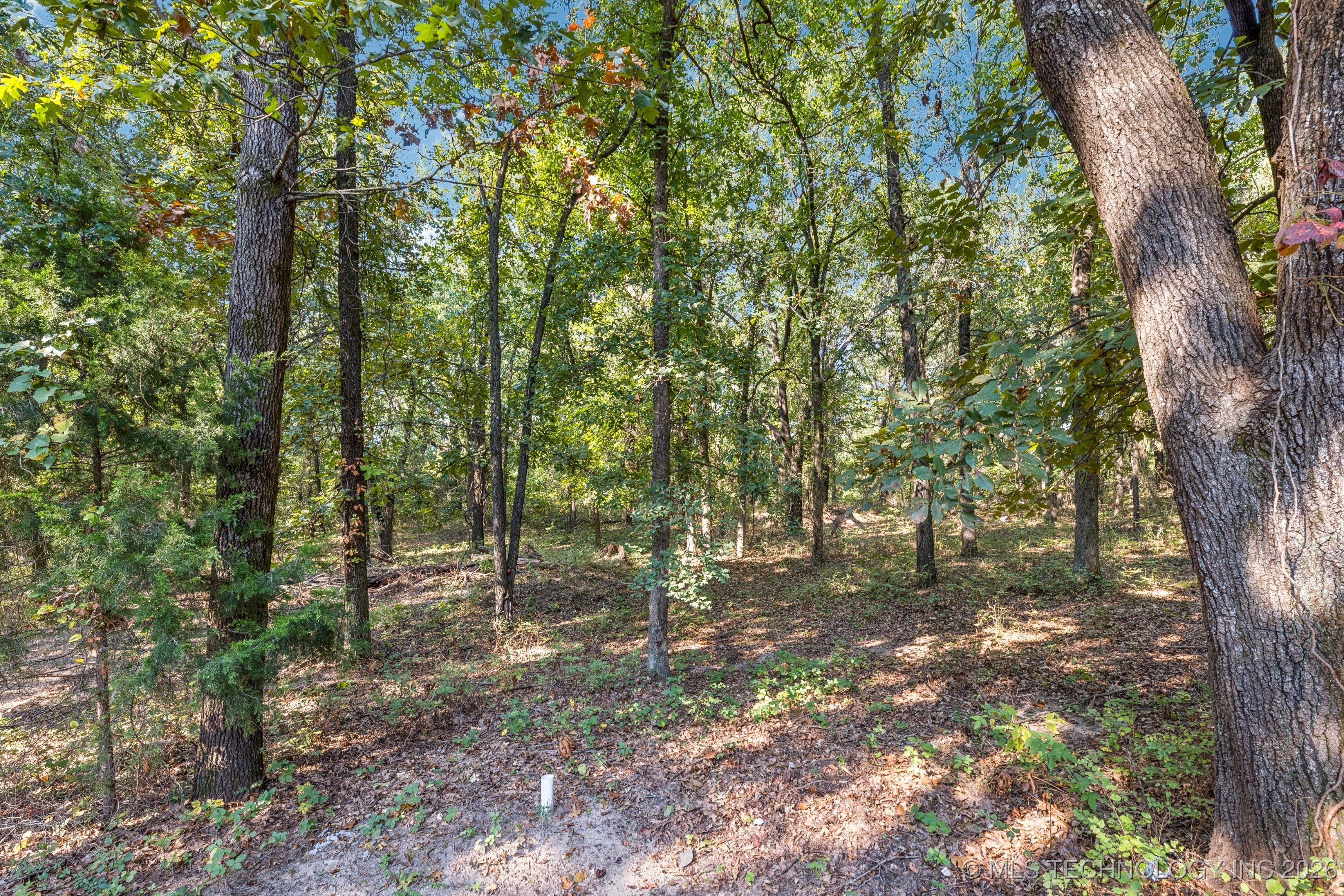 2824 New Prue Road Property Photo 31