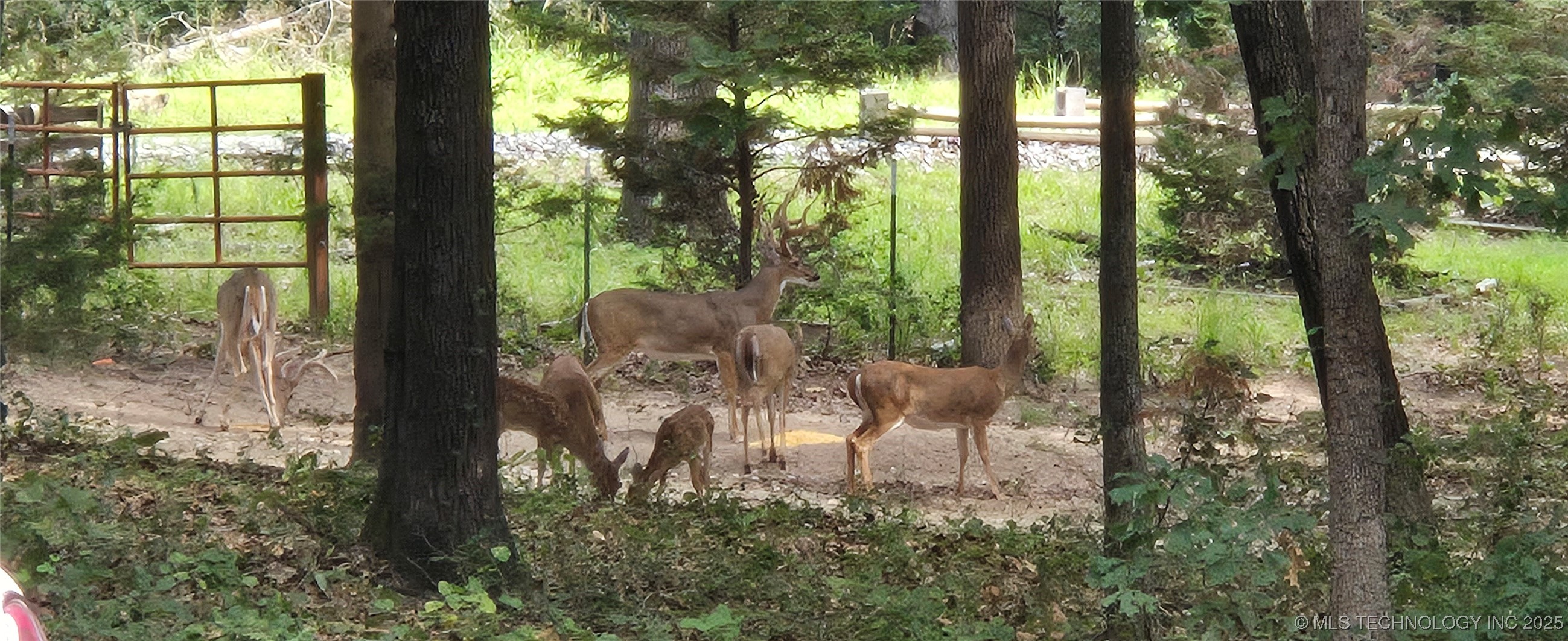 2824 New Prue Road Property Photo 43