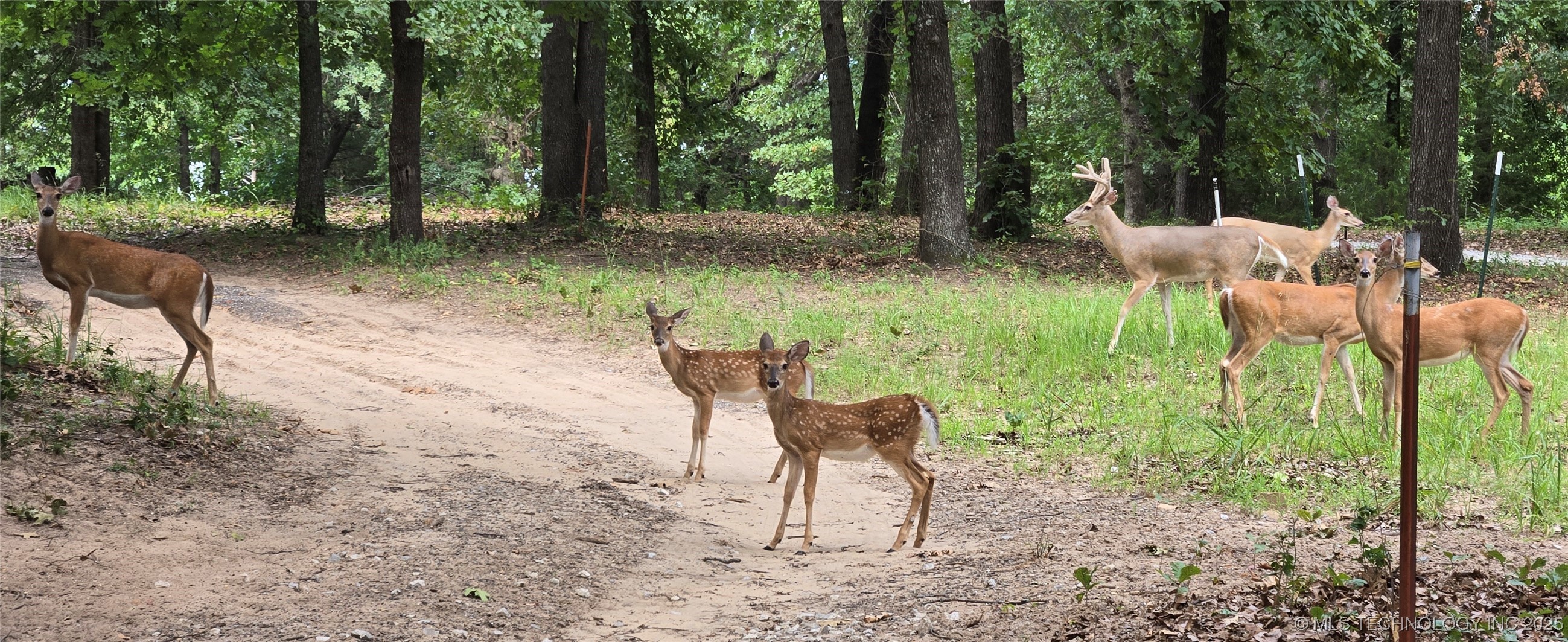 2824 New Prue Road Property Photo 44