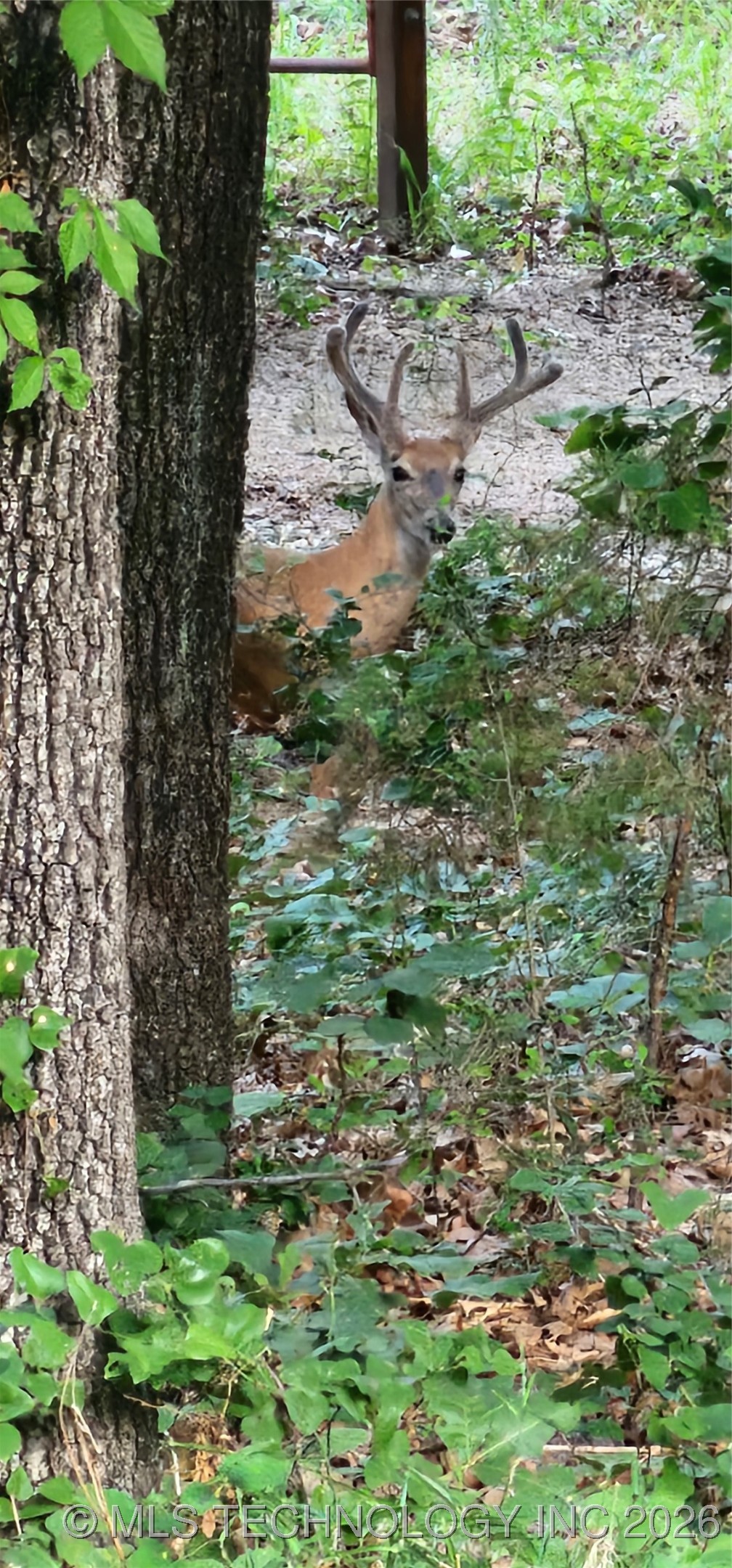 2824 New Prue Road Property Photo 45