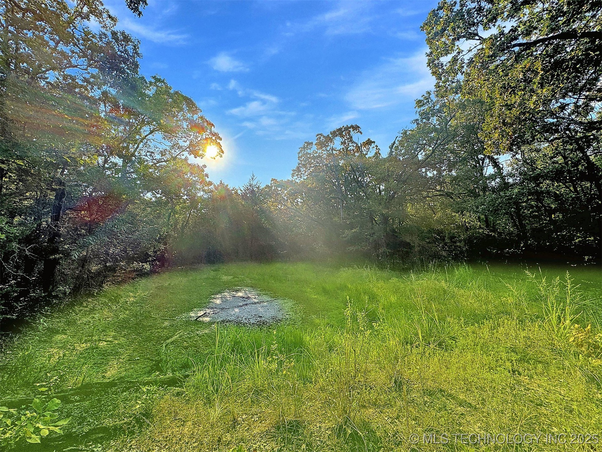 22695 N 6 Mile Road Property Photo 5