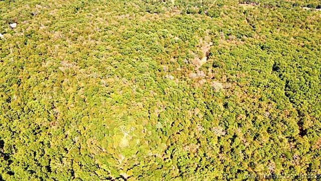 22695 N 6 Mile Road Property Photo 10