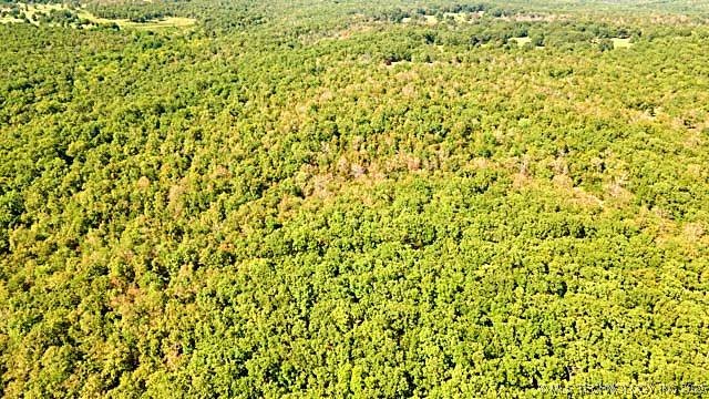 22695 N 6 Mile Road Property Photo 12